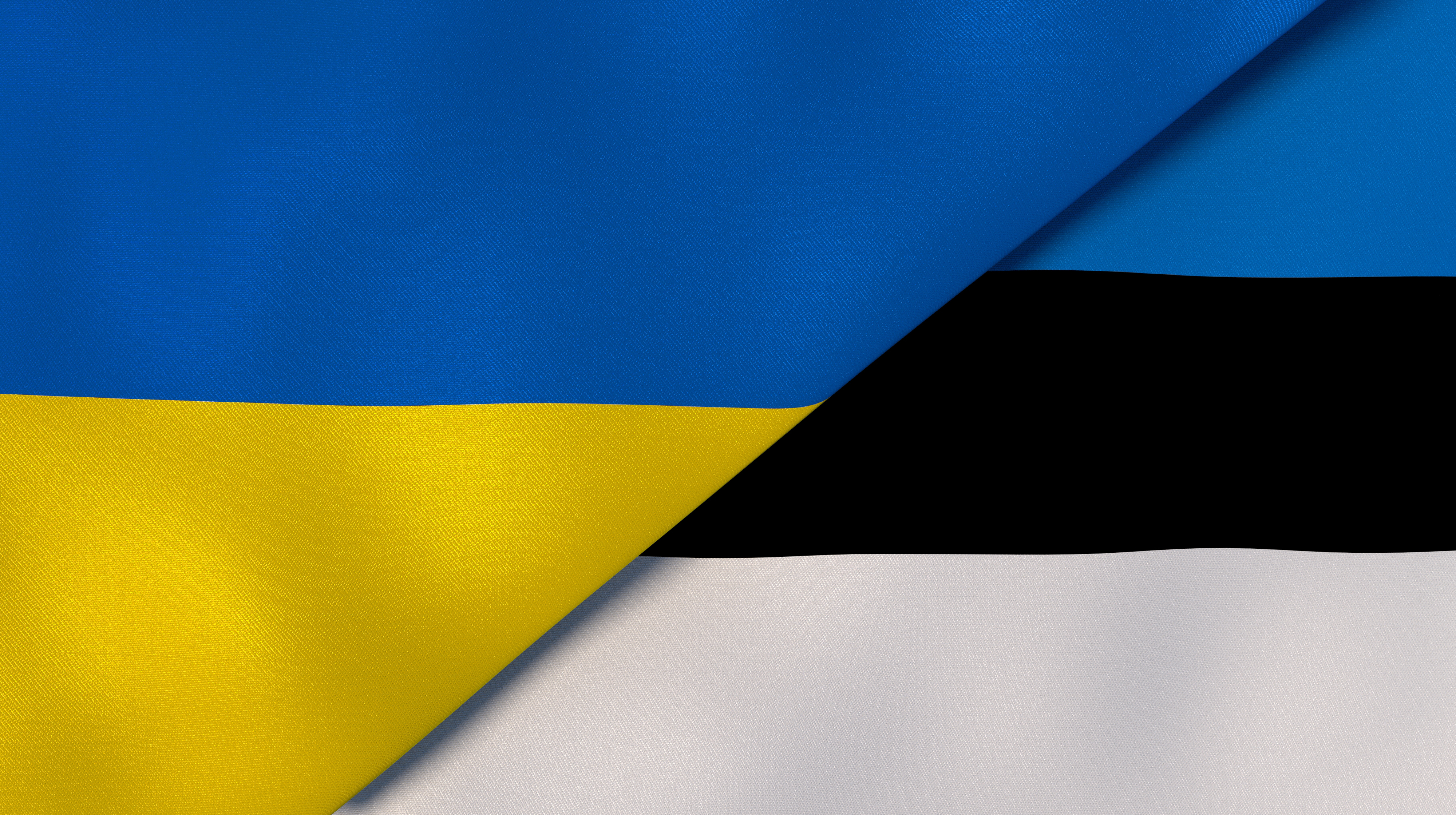 Эстония призвала Украину не атаковать российские суда в Балтийском море