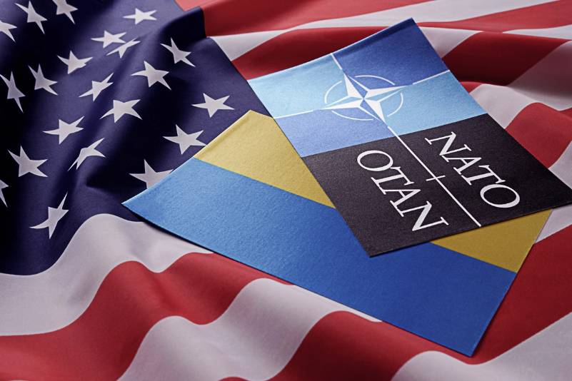 Американист оценил шансы Украины добиться от США членства в НАТО