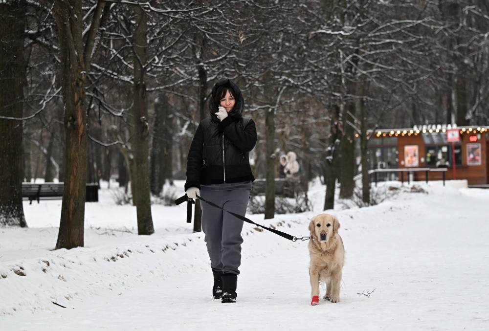 В Госдуме предложили стандартизировать безопасные для животных зимние реагенты
