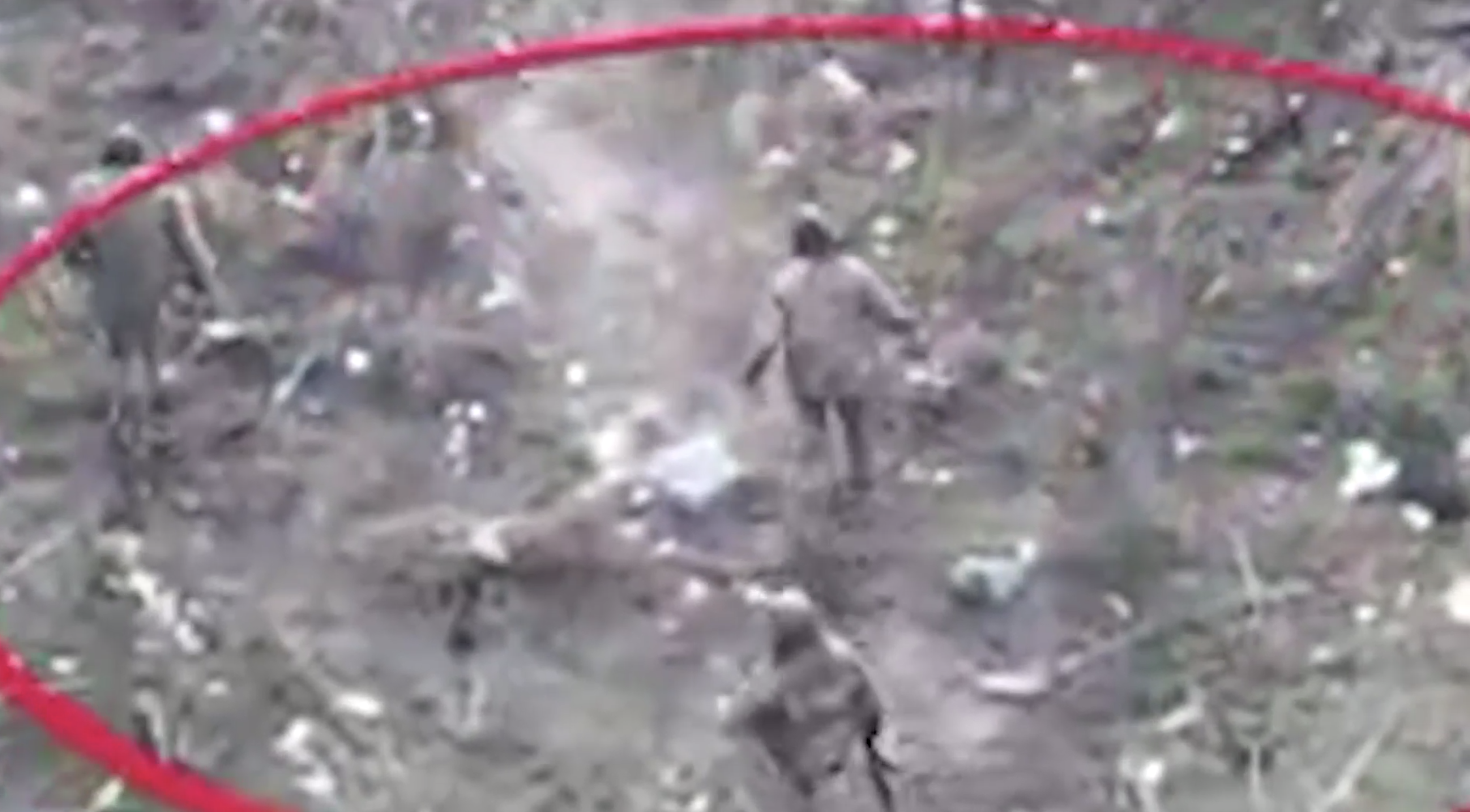 Дрон снял на видео сдачу в плен группы солдат ВСУ в Димитрове