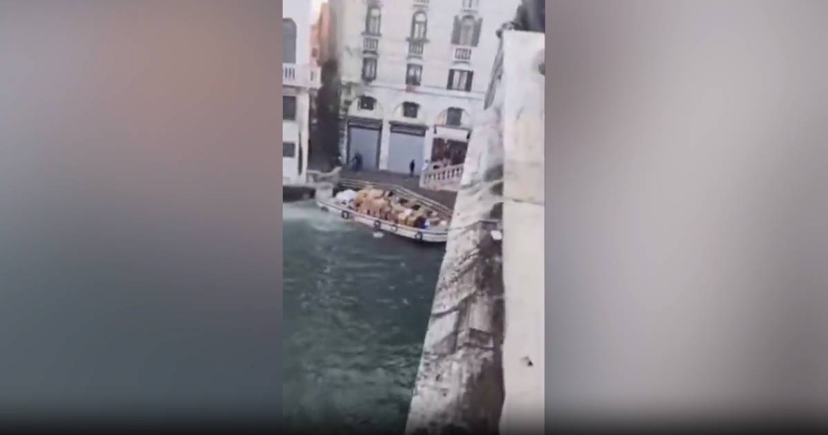 В Венеции девушка угнала лодку курьеров с кучей посылок и врезалась в мост