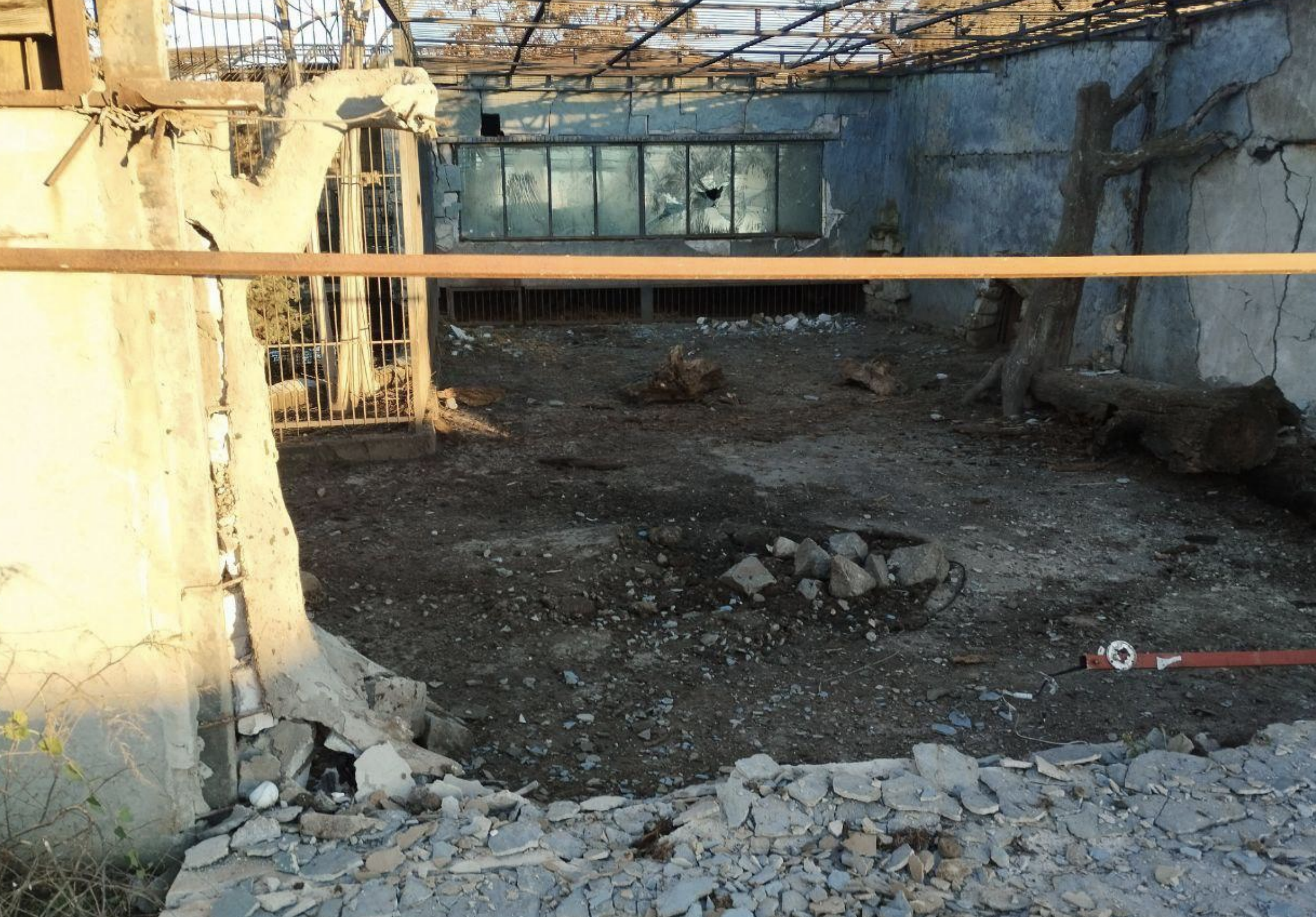 Лев ранен в результате удара дрона ВСУ по зоопарку в Запорожской области