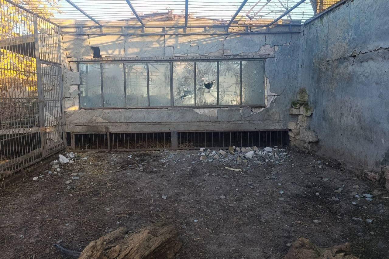 Умер лев, пострадавший при атаке дронов ВСУ на зоопарк в Запорожской области