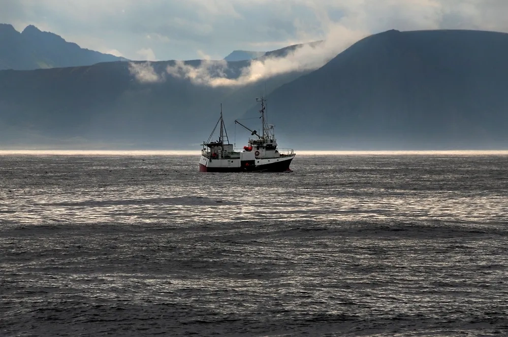 Спецназ США захватил судно, следовавшее из Китая в Иран