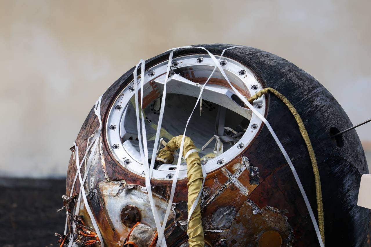 Стали известны результаты эксперимента «Роскосмоса» на спутнике «Бион-М»