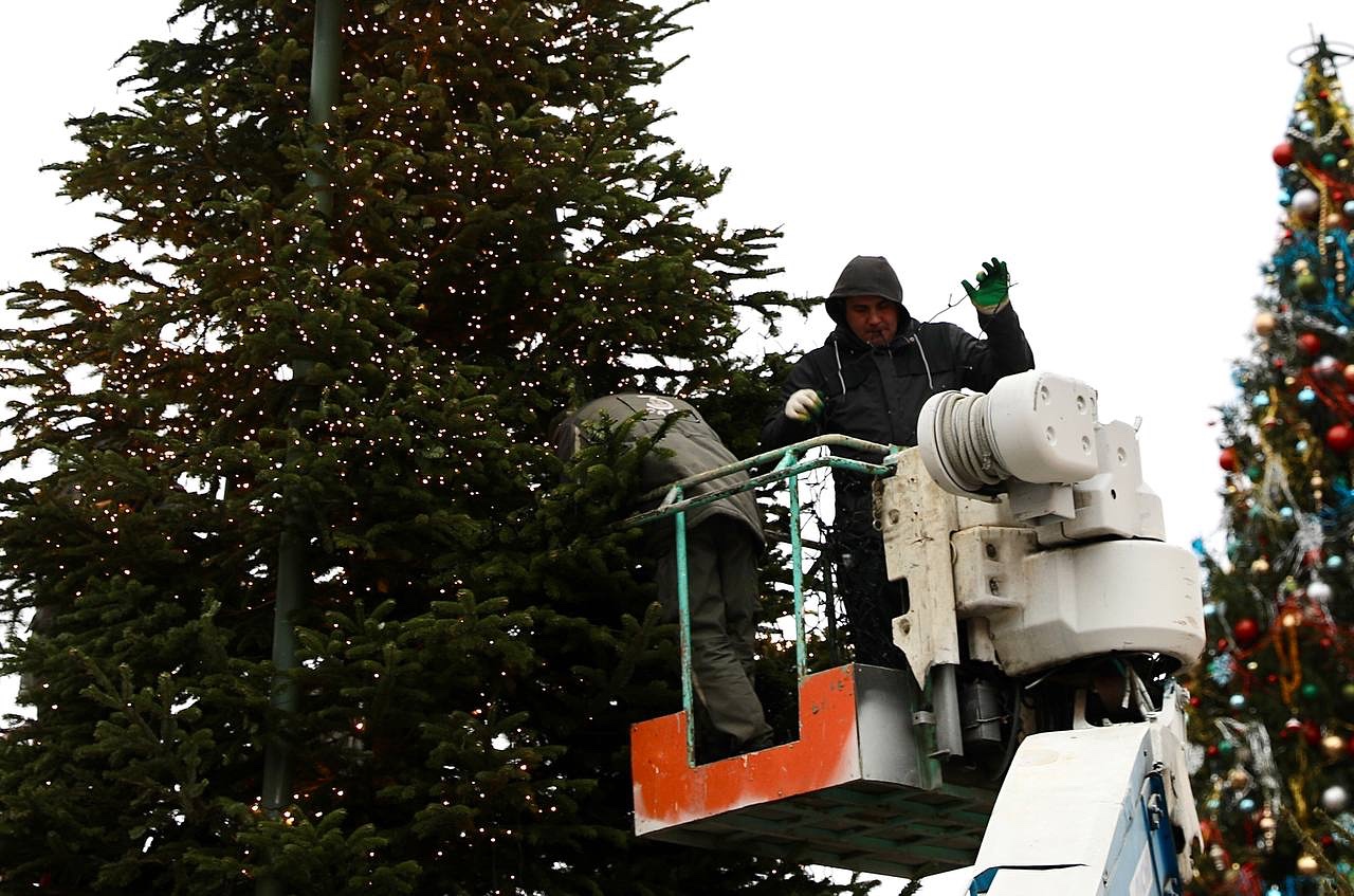 120-летняя великанша приехала на пенсию: Ночной спецконвой доставил главную ёлку Петербурга