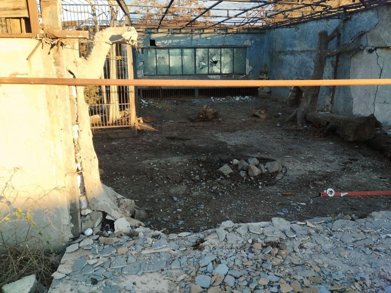 Ростовский Южный парк птиц поможет пострадавшему от ВСУ зоопарку в Запорожье 