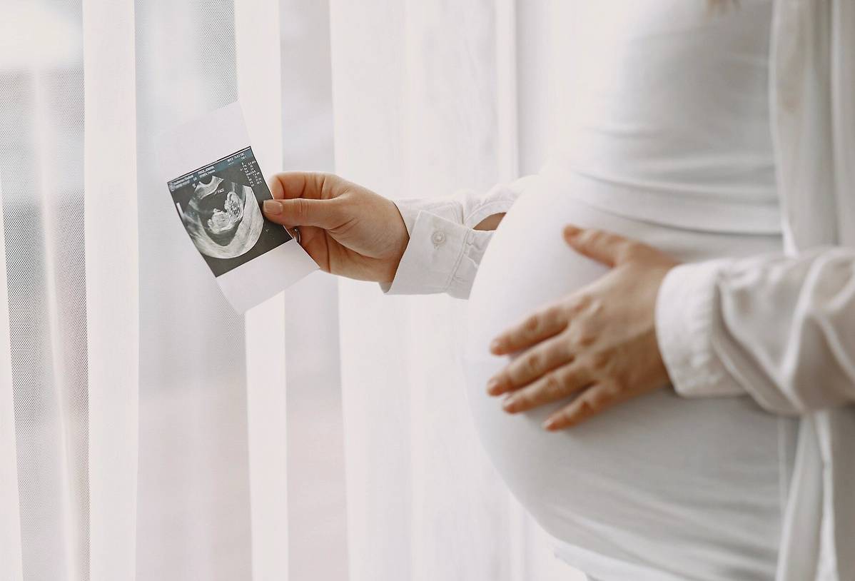 В Госдуме назвали размер пособия по беременности в 2026 году