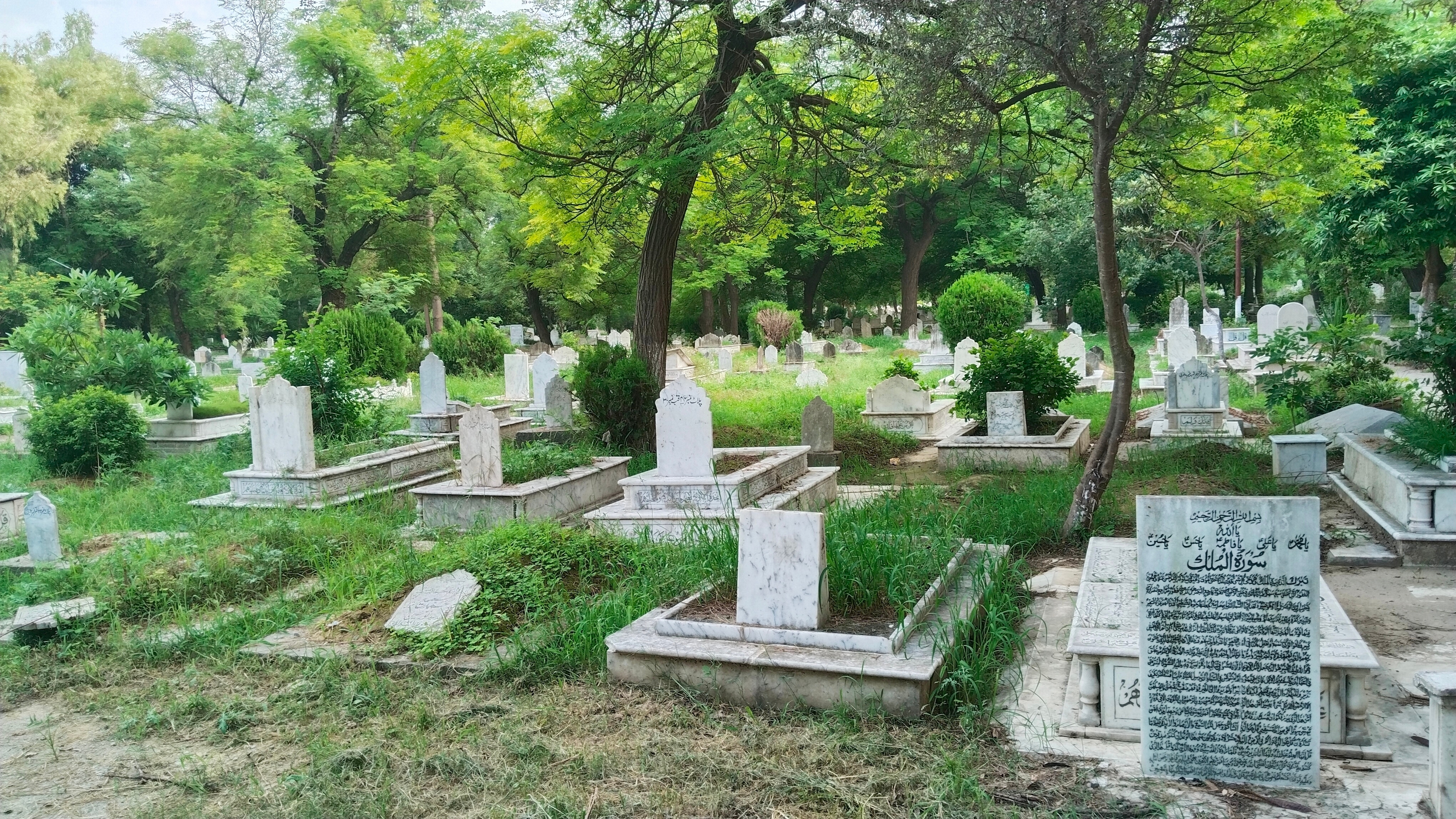 Свиные головы нашли на мусульманском кладбище в Сиднее после теракта