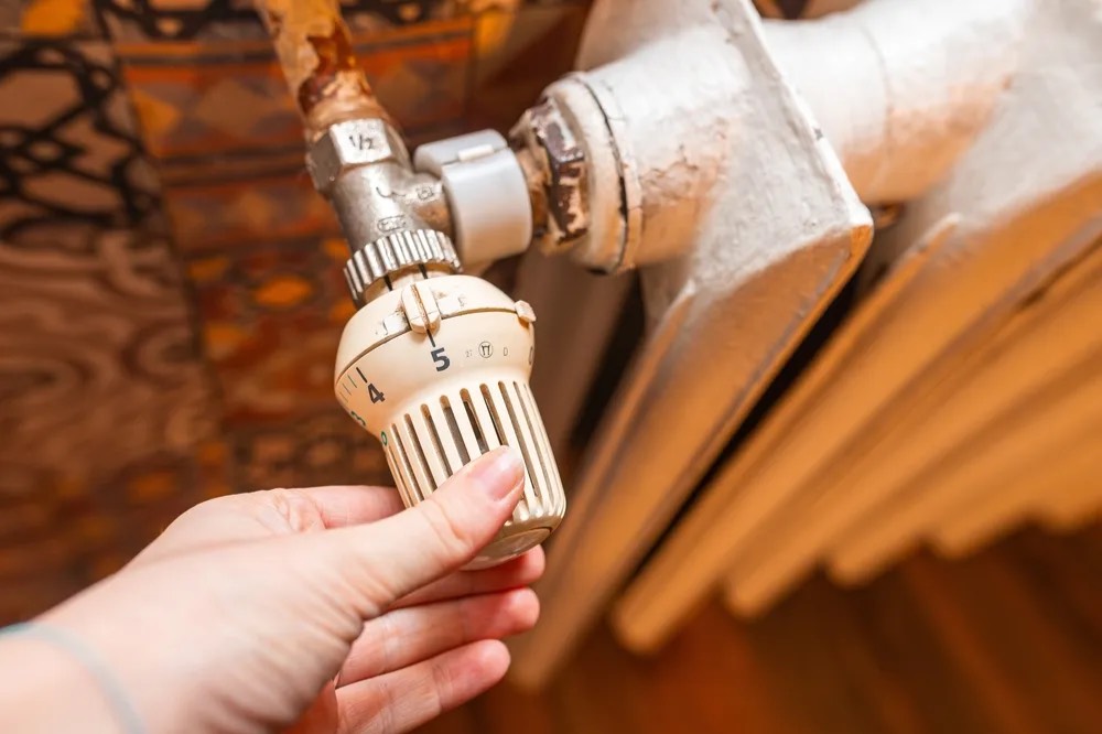 В Бурятии многодетные родители с ребёнком погибли из-за долга за свет