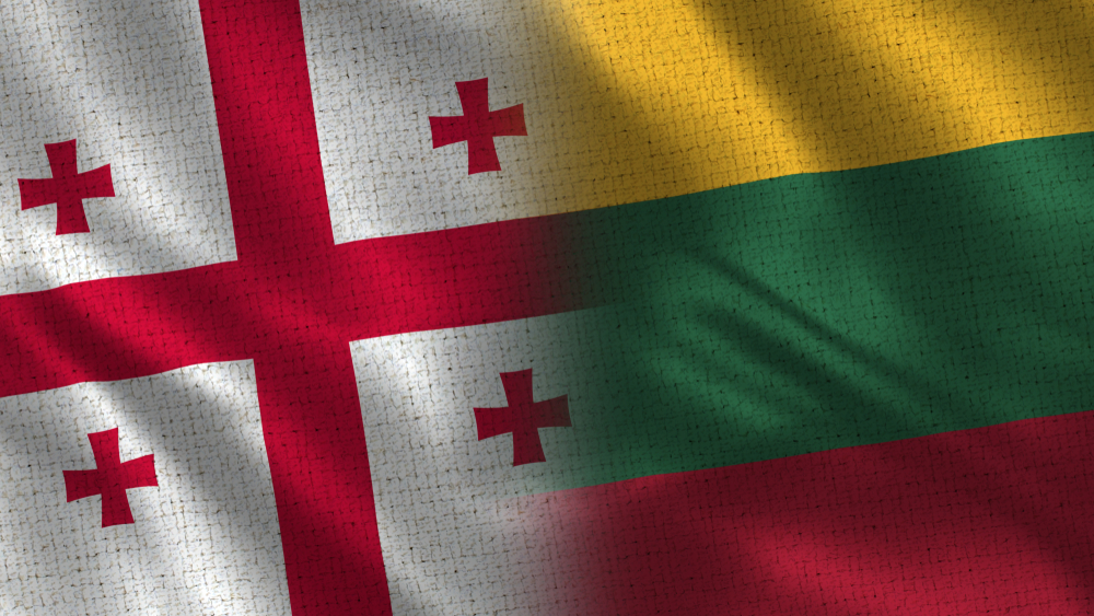 Грузия указала МИД Литвы на «печальный регресс» Евросоюза