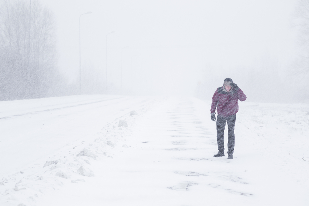 Четыре пастуха замёрзли насмерть в Волгоградской области, ещё один пропал