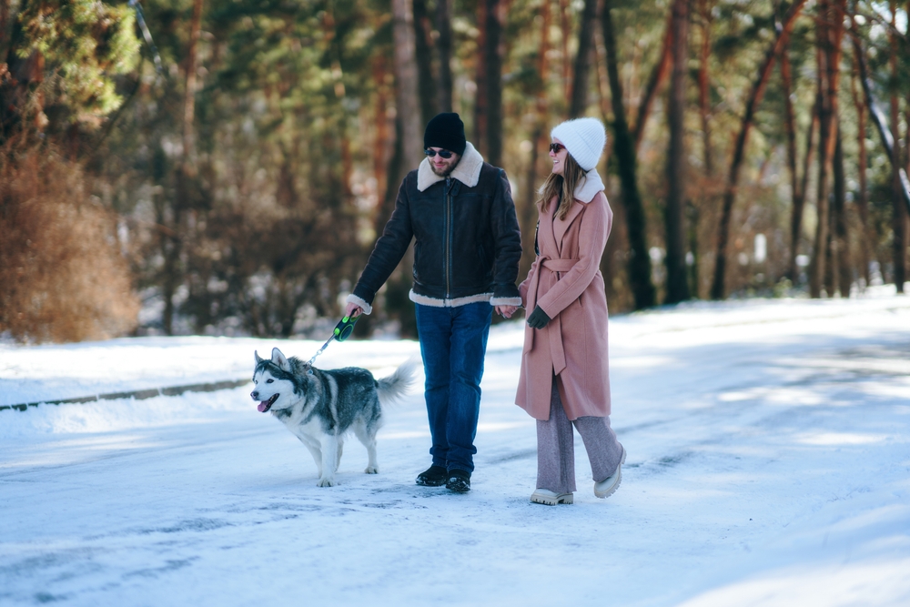 В Подмосковье взяли под контроль качество воздуха