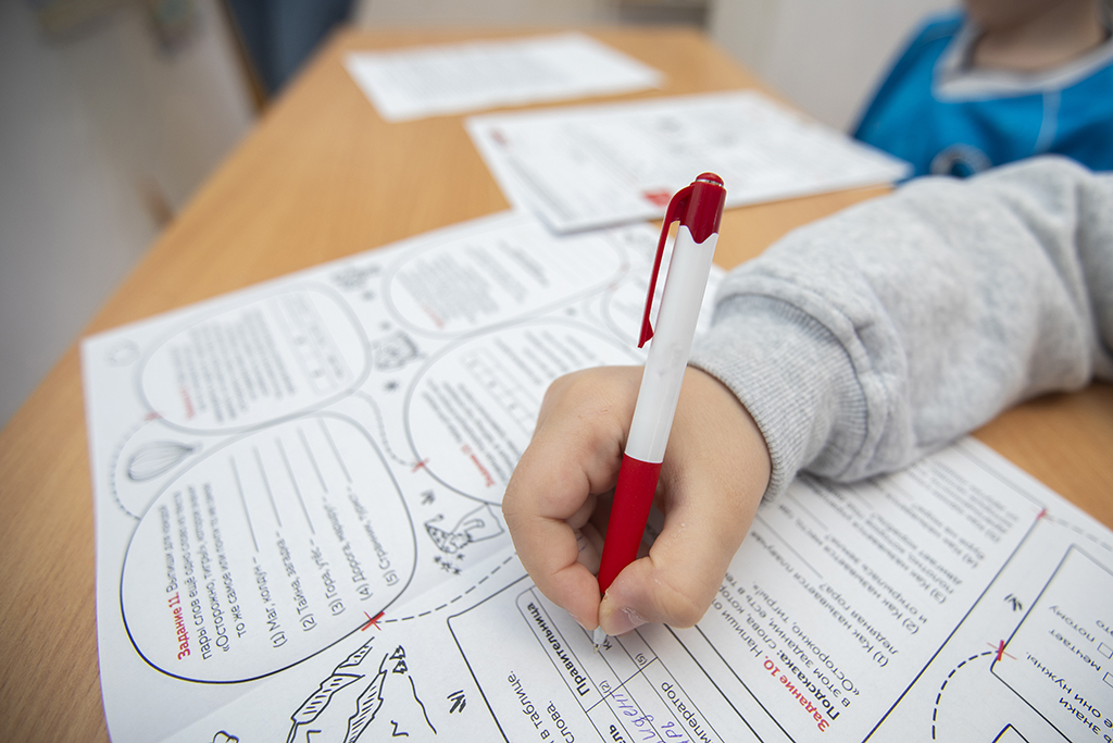 Сёстры из Казахстана, которых не брали в школу, сдали тест по русскому языку в Тюмени