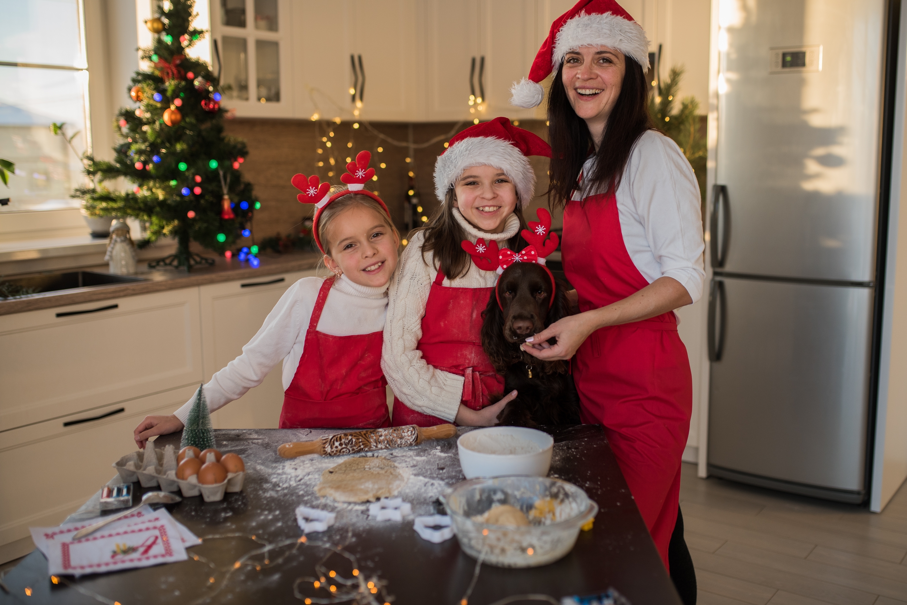 Забудьте о костях: Ветеринар советует заменить праздничный стол для животных на &laquo;зоооливье&raquo;