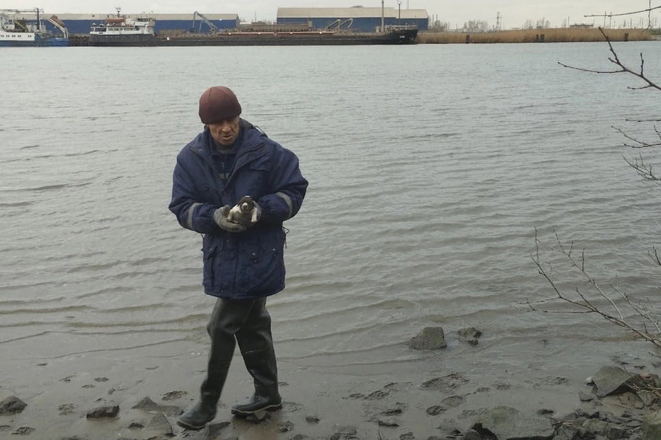 В Ростове-на-Дону спасатели вызволили собаку и её слепого щенка из ледяной реки