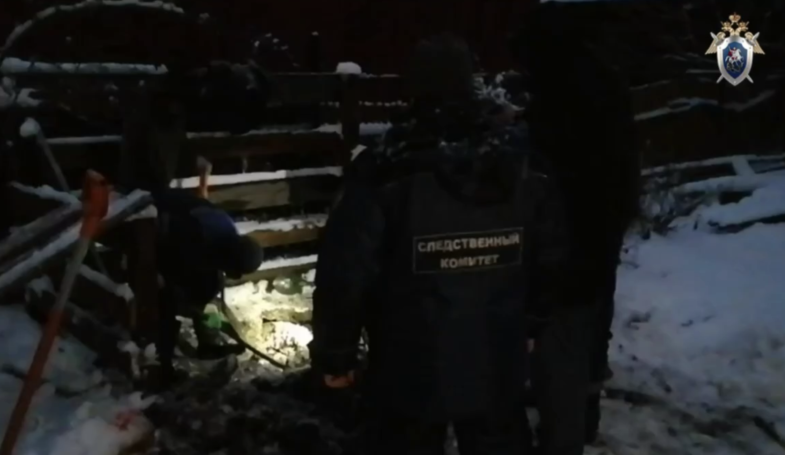 СК опубликовал видео с места обнаружения тел жертв богородского маньяка