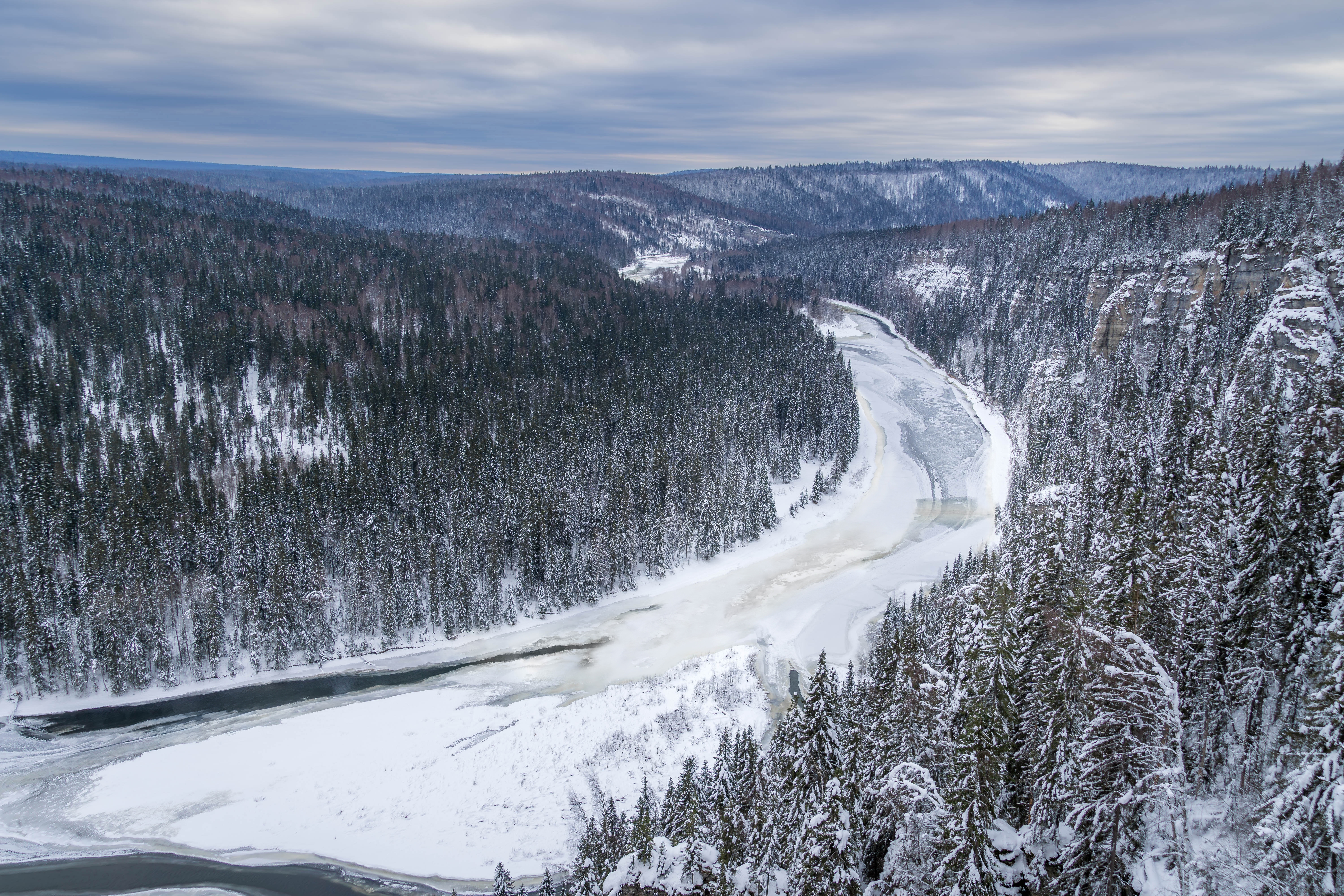 Заблудившиеся в лесу отец и сын едва не замёрзли насмерть, их спасли ротвейлеры