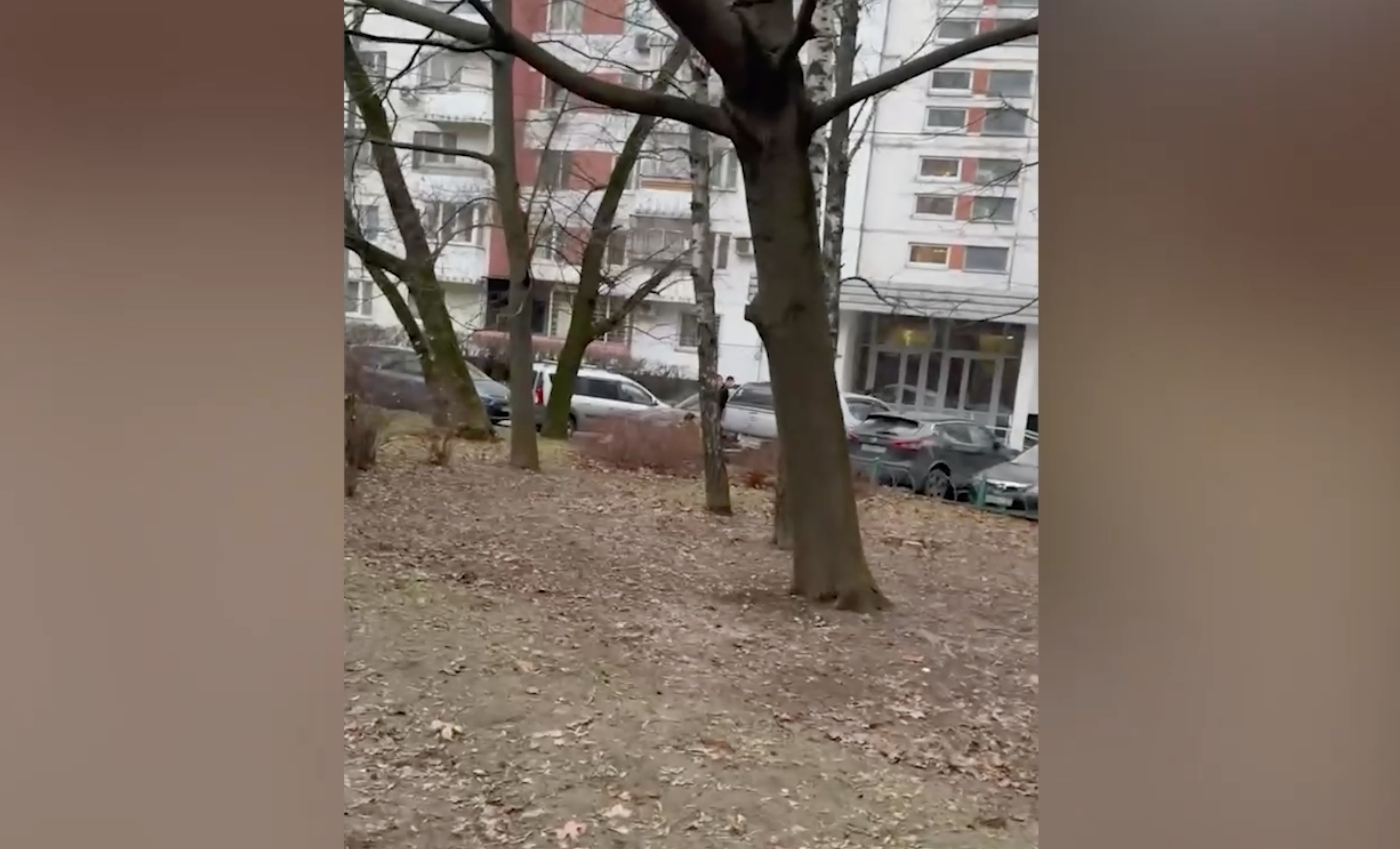 «Дважды майор полиции» открыл стрельбу во дворе дома в Москве