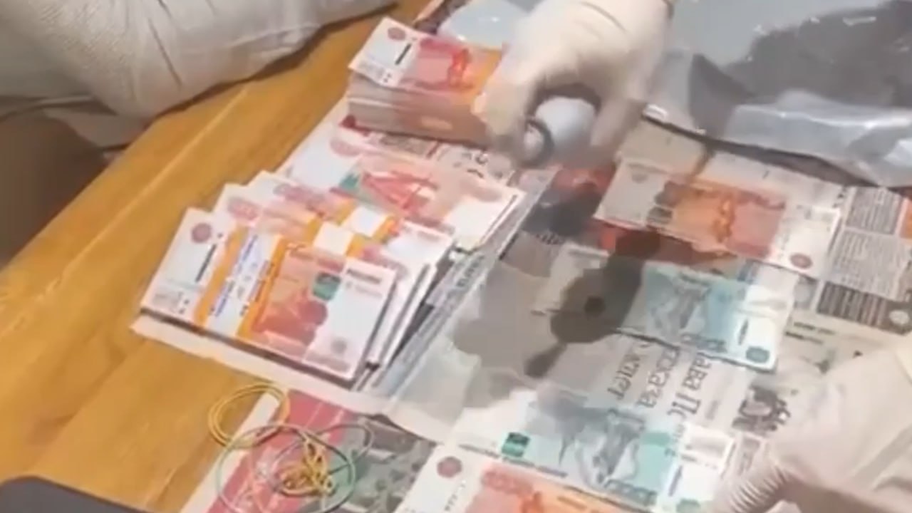 В Петербурге накрыли ОПГ, зарабатывавшую миллионы на подделке налоговых бумаг
