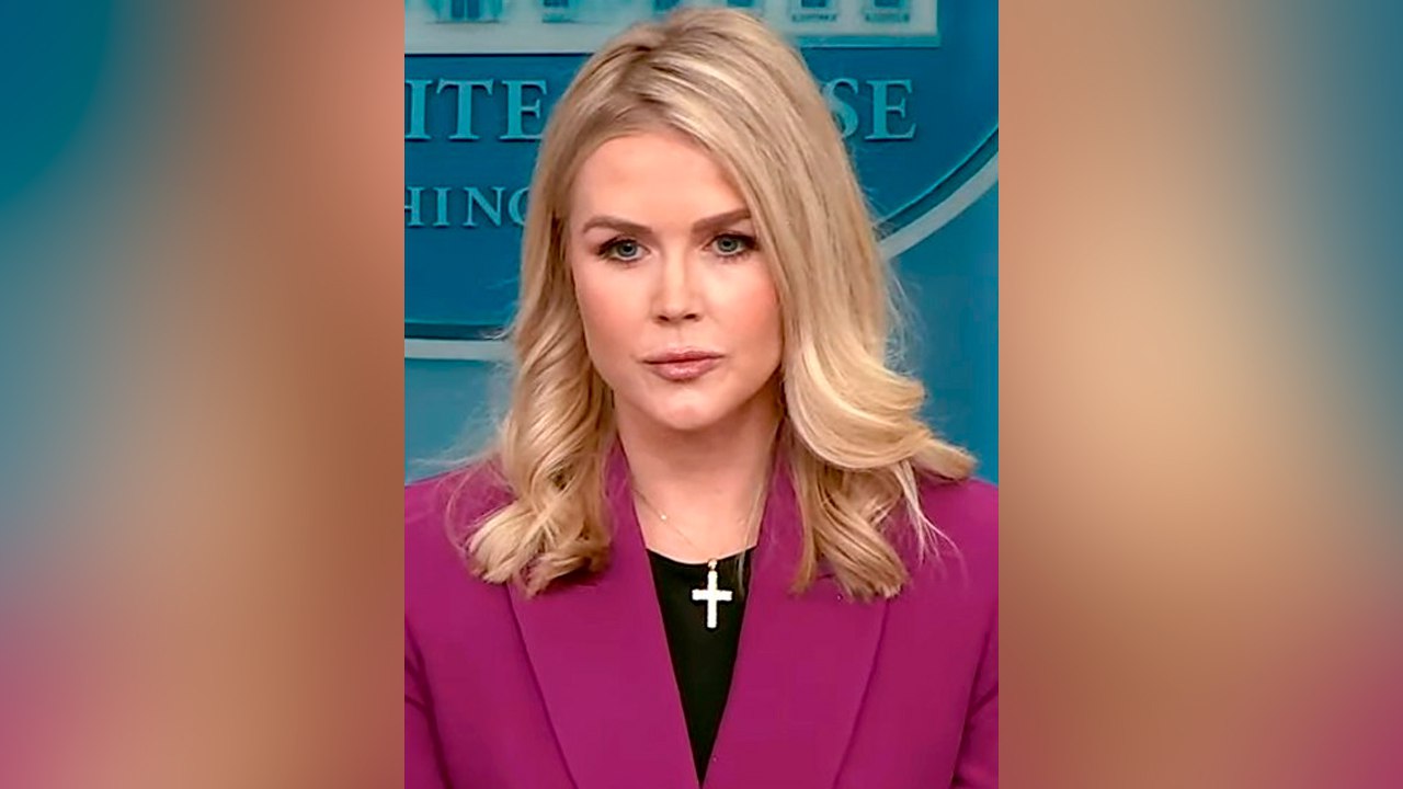 Задержанную в США родственницу Левитт отпустят под залог