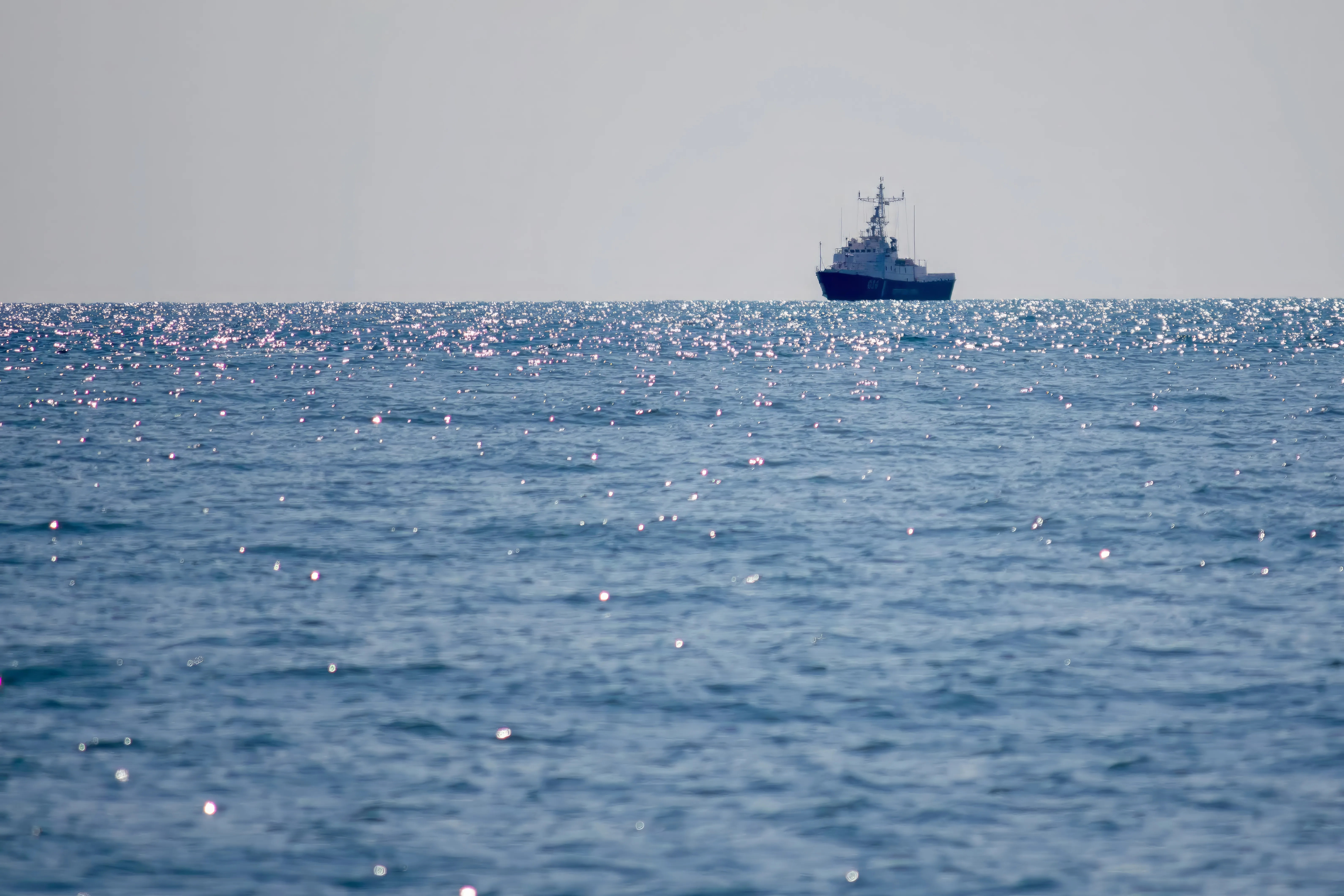 Уиткофф: Потенциальное согласие по Чёрному морю обсуждается на переговорах