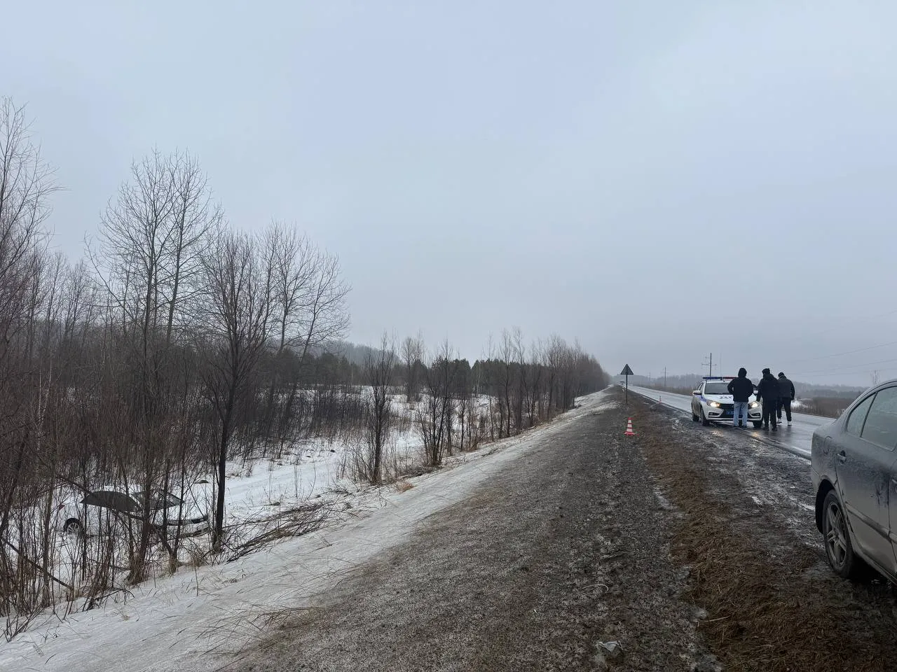 В Тюменской области семья пострадала в ДТП из-за выбежавшего на дорогу зайца