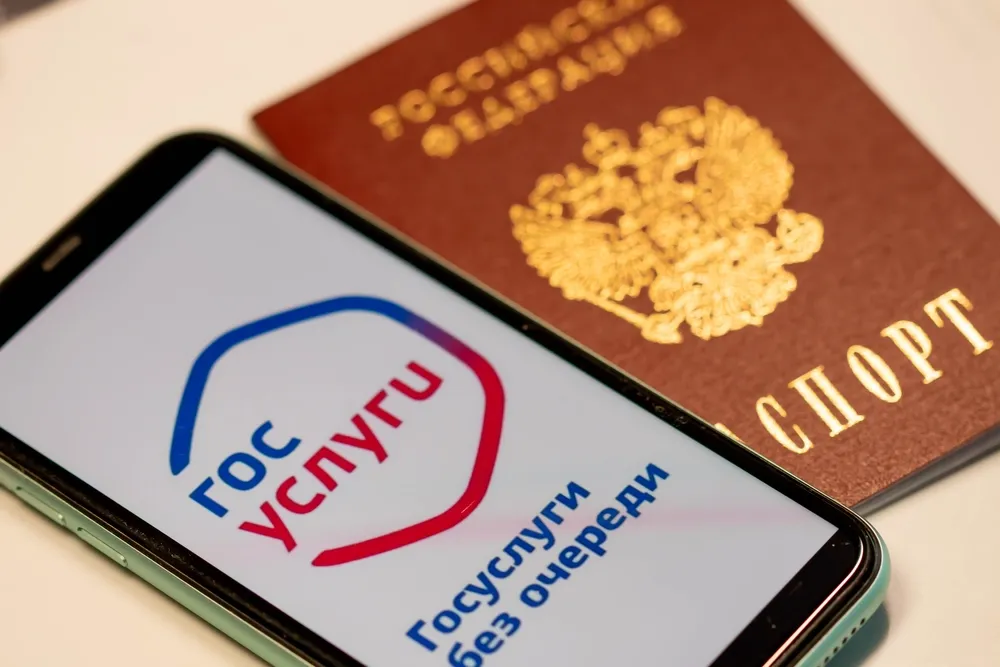 «Практика есть»: Life.ru узнал, уйдут ли с «Госуслуг» предложения руки и сердца после слов Путина
