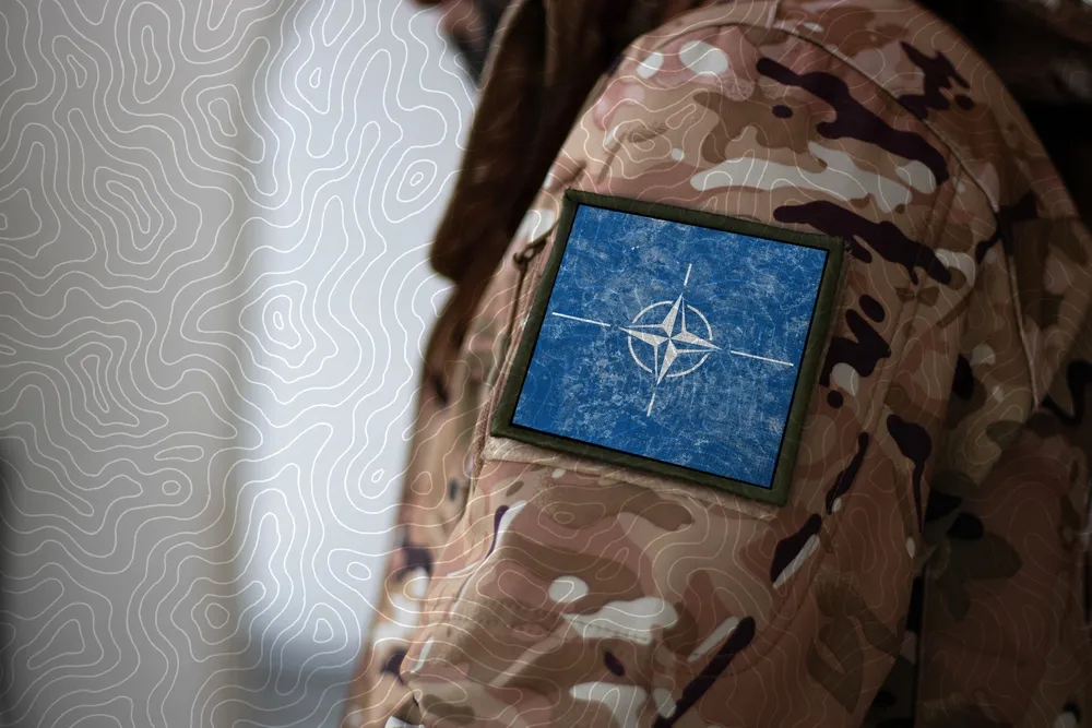 В Польше раскрыли планы НАТО ввести войска на Украину в начале СВО
