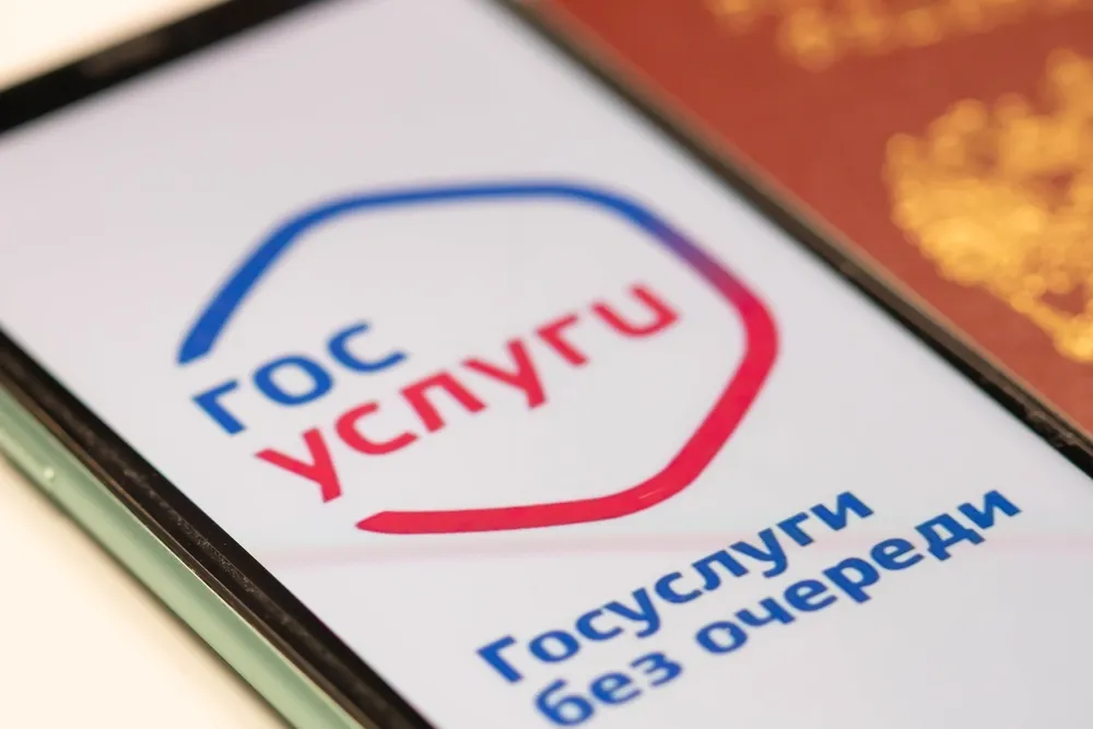 В Госдуме рассказали о главном «ноу-хау» цифровой платформы на «Госуслугах»