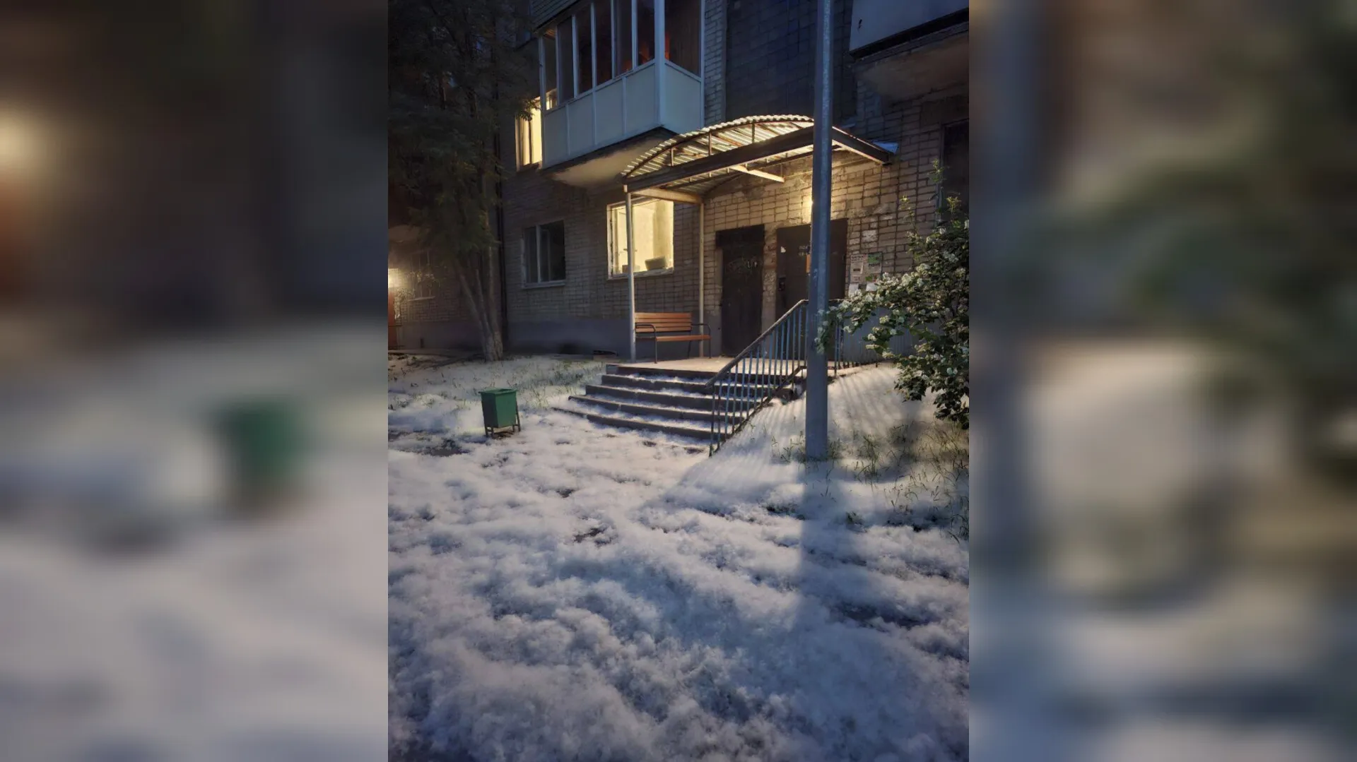 Словно после снегопада: Тюмень утонула в тополином пухе