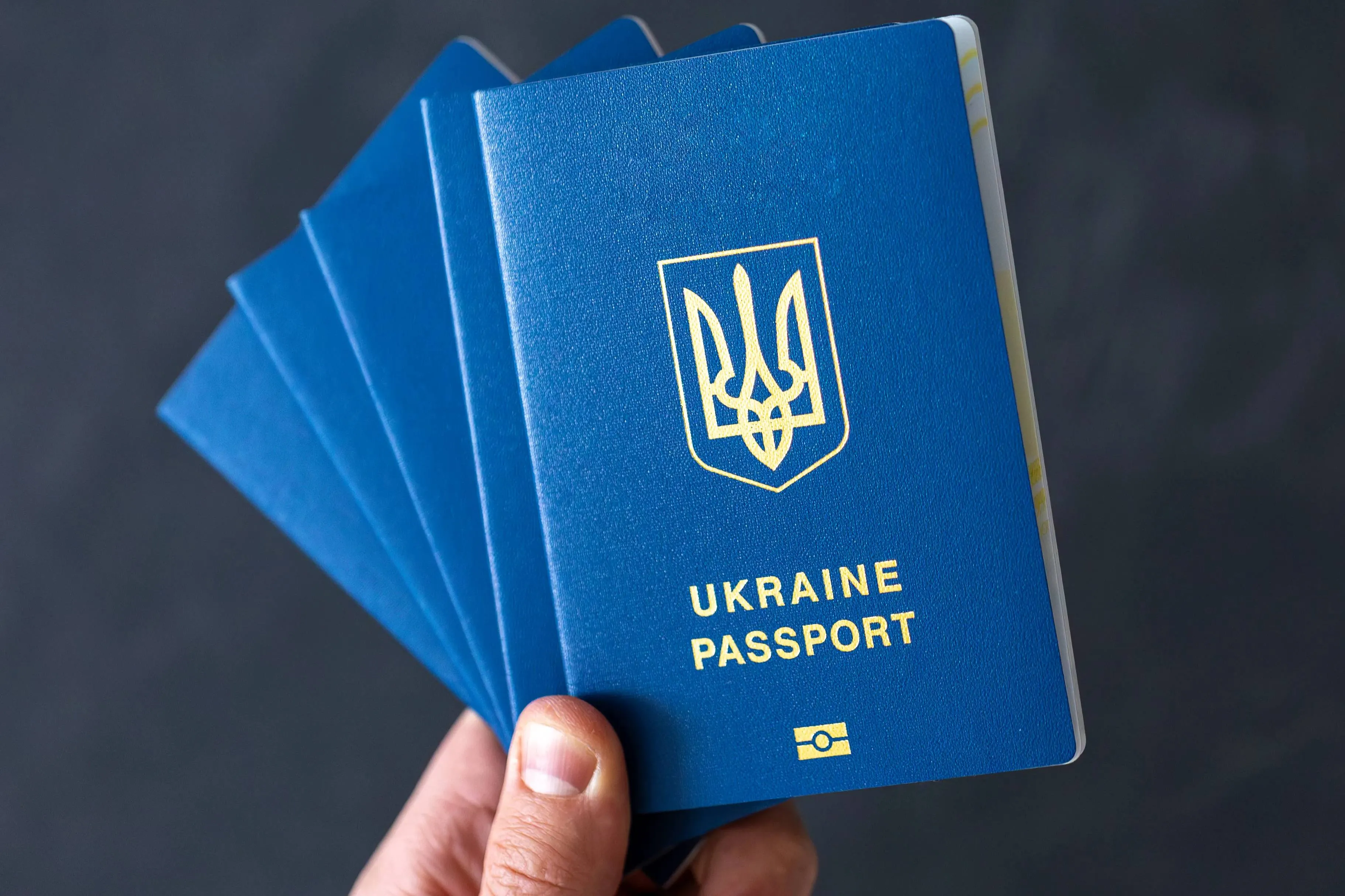 Военблогер раскритиковал жёсткие меры контроля въезда украинцев в Россию