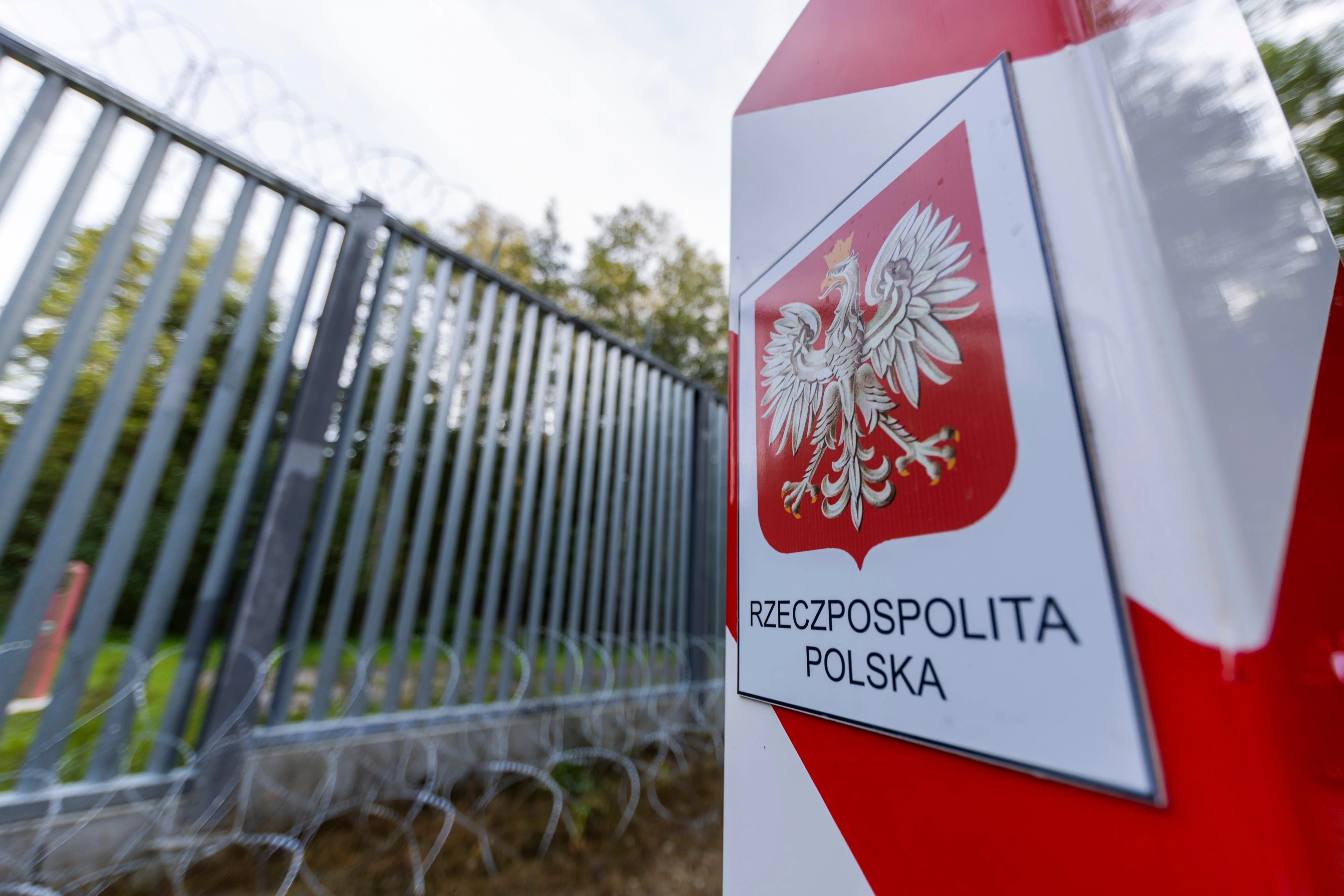 В польских Ляшках возле Украины нашли огромный тайник с оружием