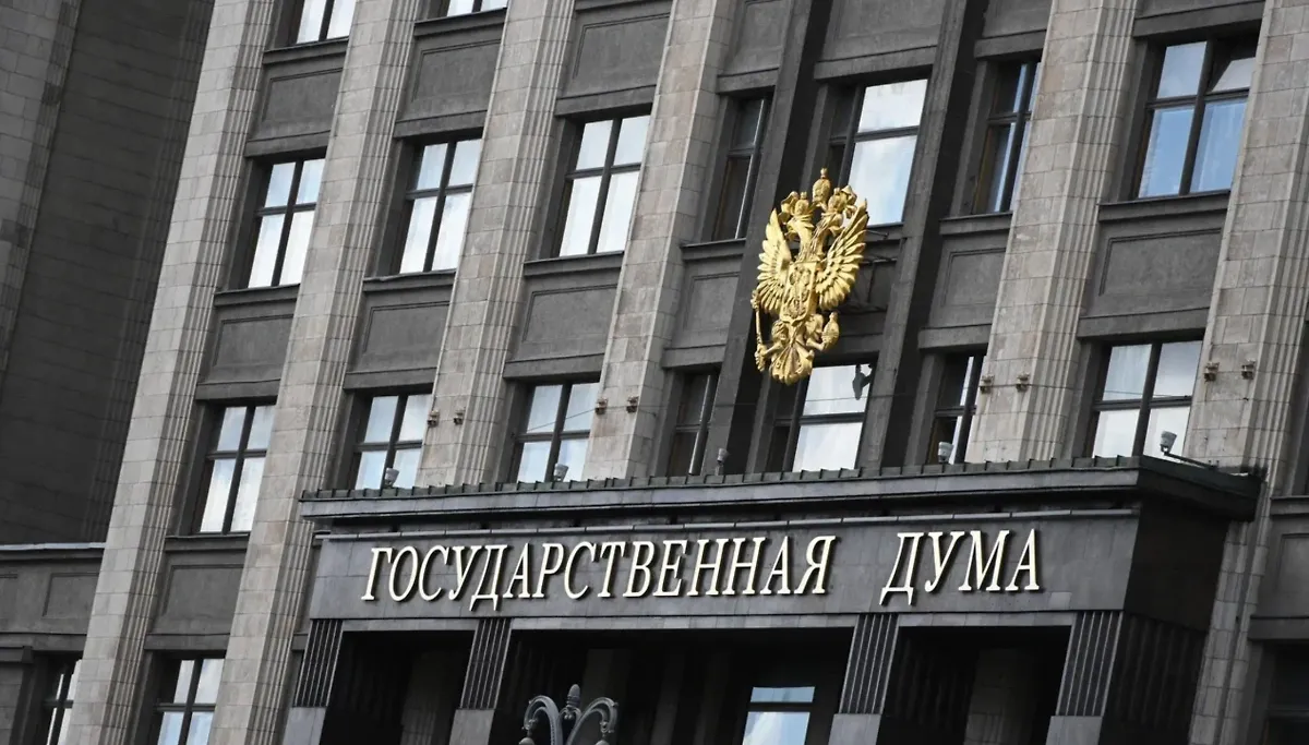 В Госдуме предложили сделать ещё девять статей УК основанием для лишения гражданства