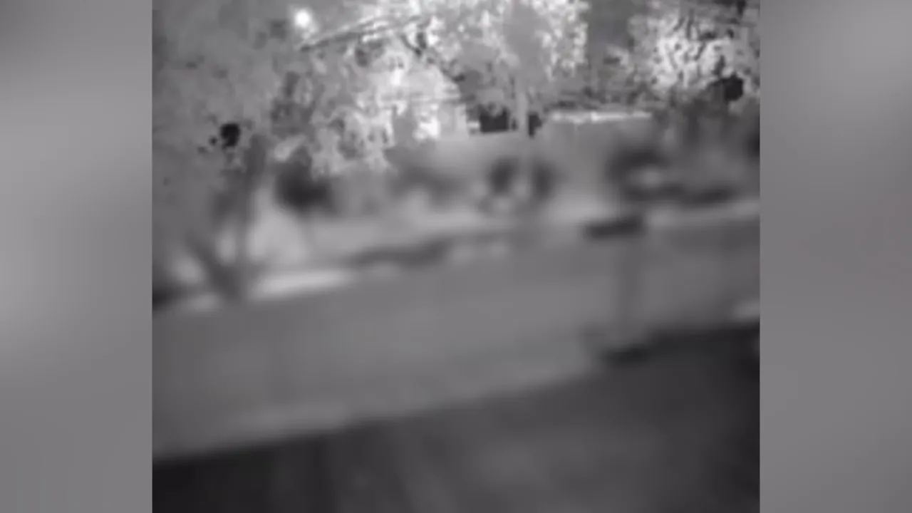 Момент уничтожения украинского БПЛА над подмосковным Домодедово попал на видео