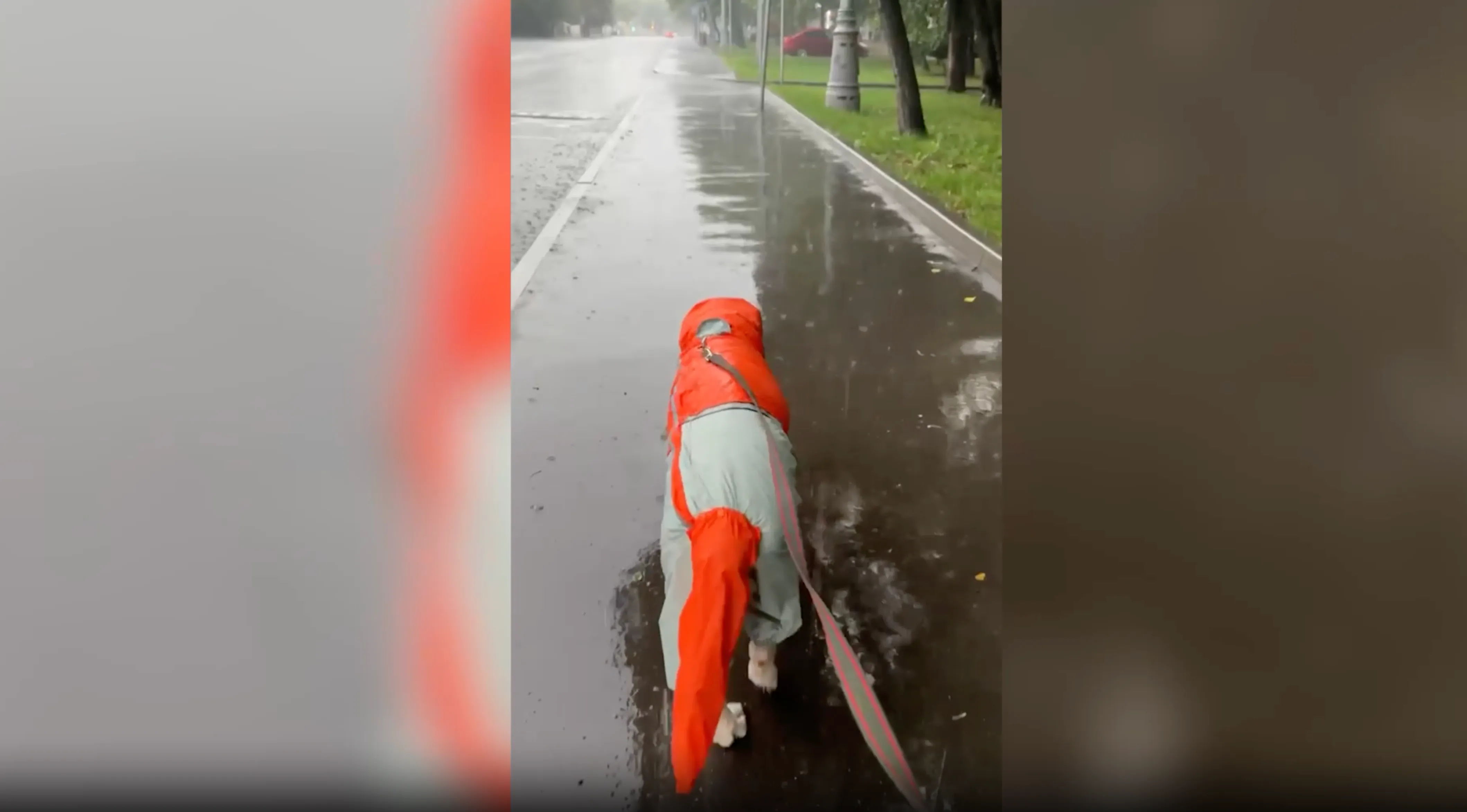 Машины и люди «плывут»: Тропический ливень превратил дороги Москвы в бурные реки