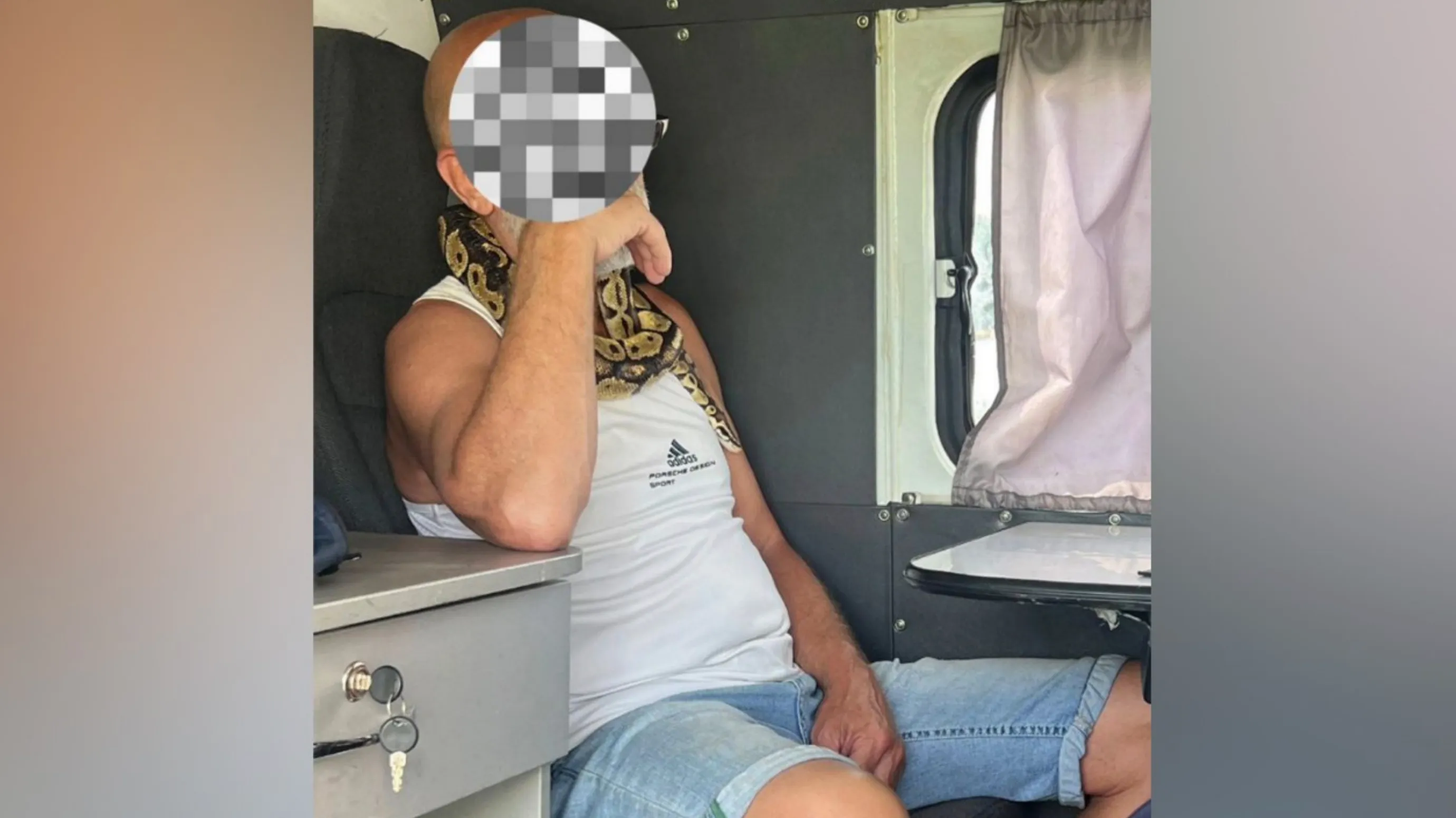 Пьяный в хлам «змееносец‎»‎ с рептилией на шее приехал на машине в ГАИ оспаривать лишение прав