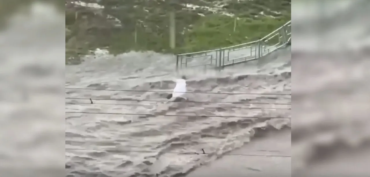 «Поехала»: В Барнауле девушку смыло с улицы потоком воды