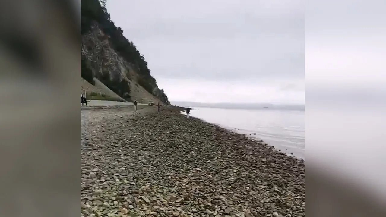 Вода отступила от берегов Петропавловска после землетрясения