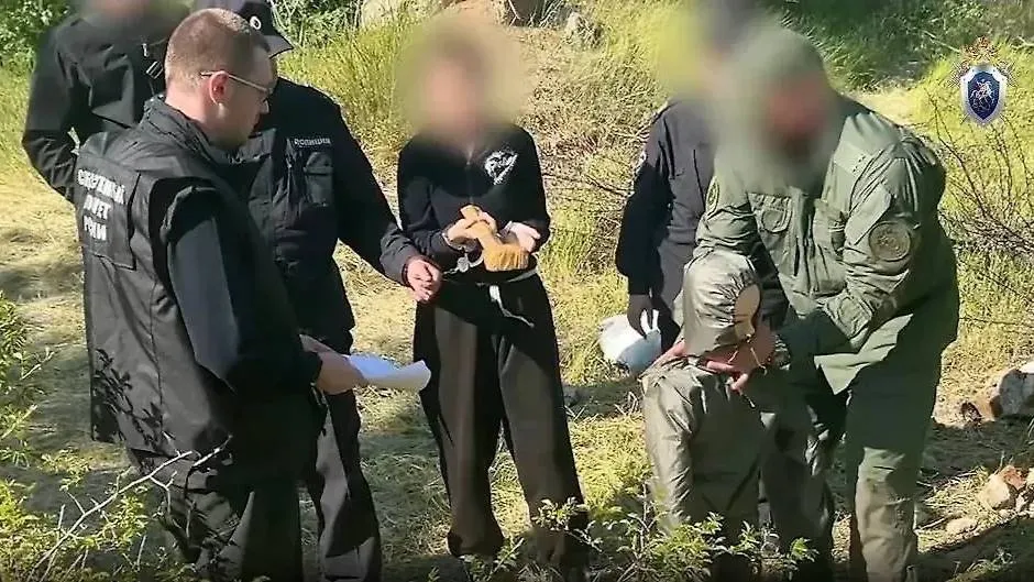 СК завершил расследование убийства 7-летней девочки фанаткой битцевского маньяка
