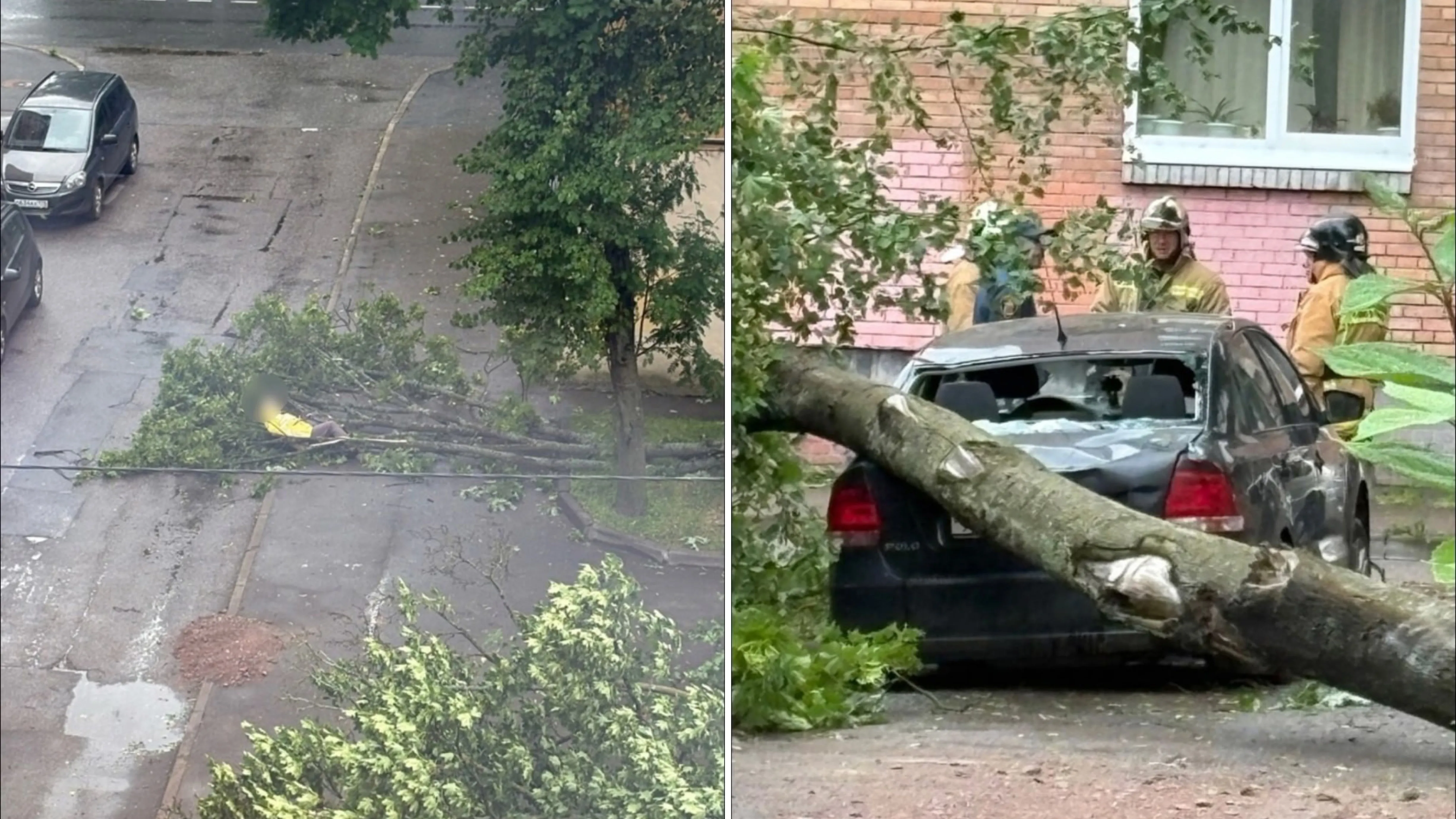Не менее трёх человек пострадали в Петербурге из-за падения деревьев
