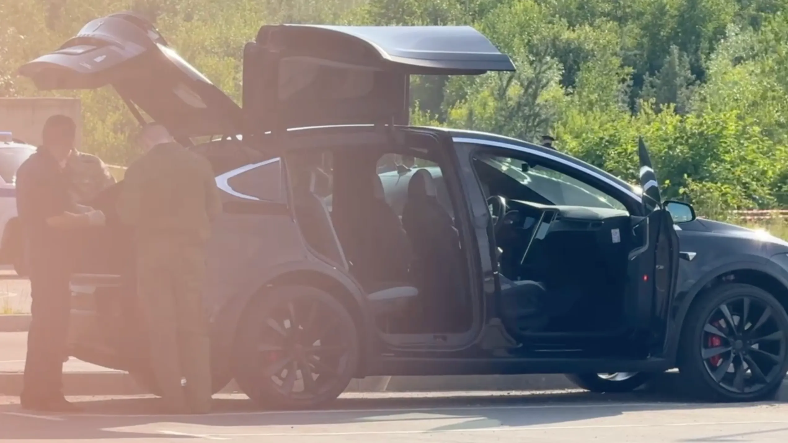 Старовойт купил дорогущую Tesla незадолго до самоубийства