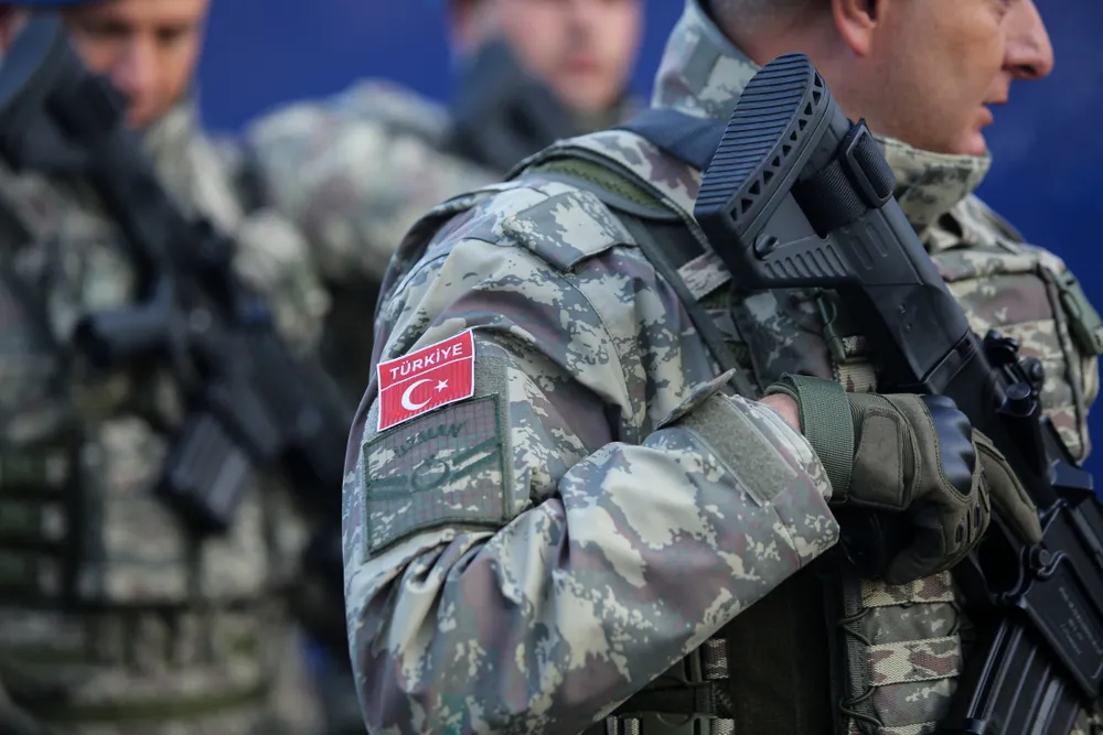 Турция может направить военных на Украину