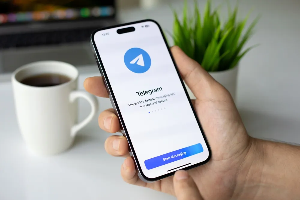 Поддельные акции в Telegram: В Госдуме предупредили россиян о схеме кражи личных данных
