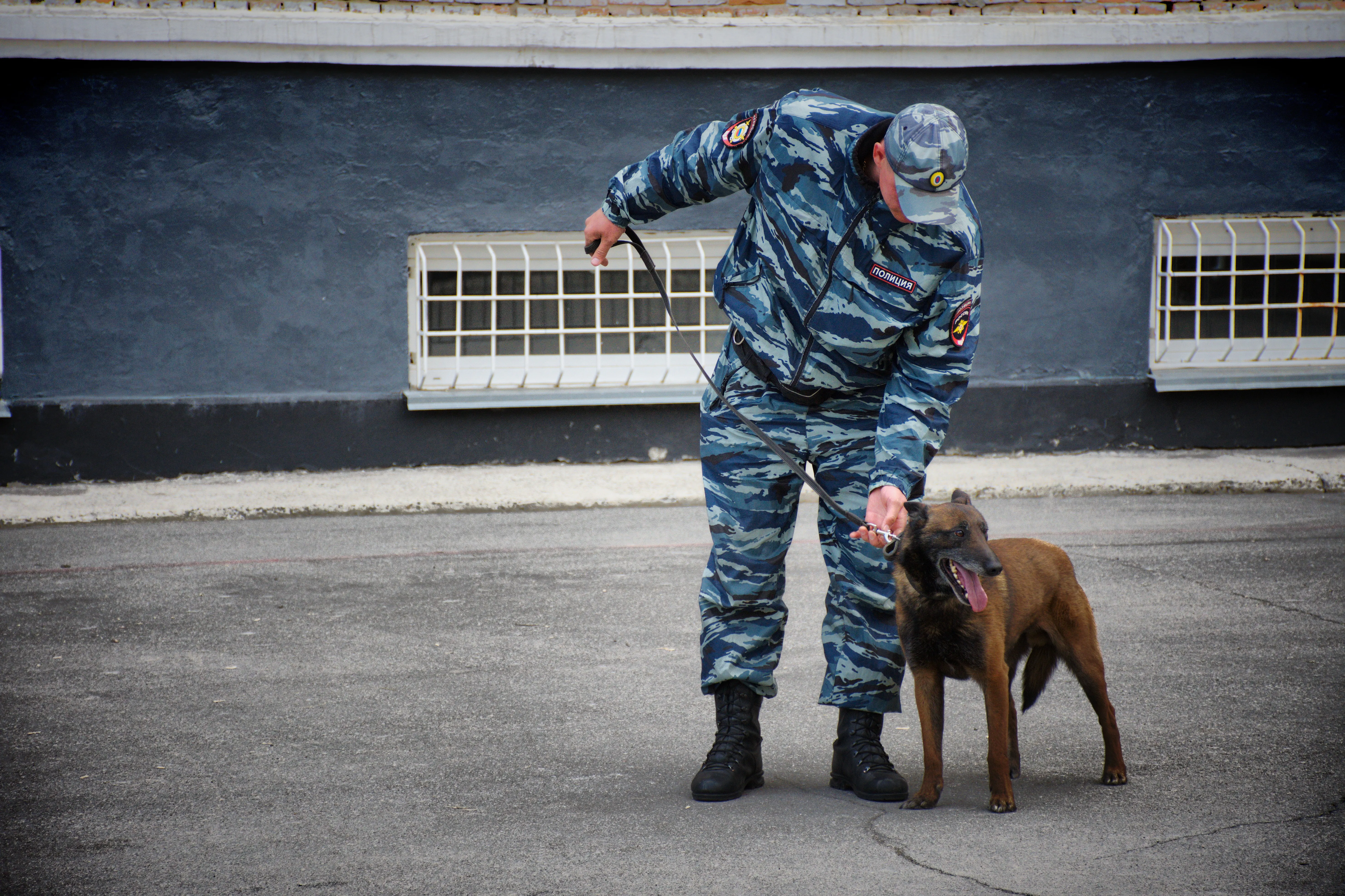 Вместе с Эрмитажем в Петербурге эвакуировали ещё три музея