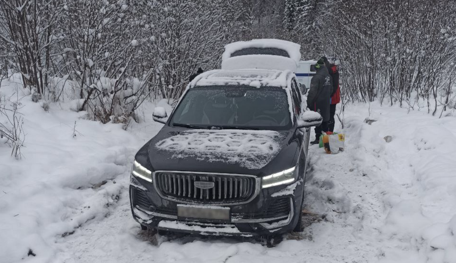 Семья с детьми исчезла в глухом лесу по пути из Челябинска в Башкирию в новогоднюю ночь