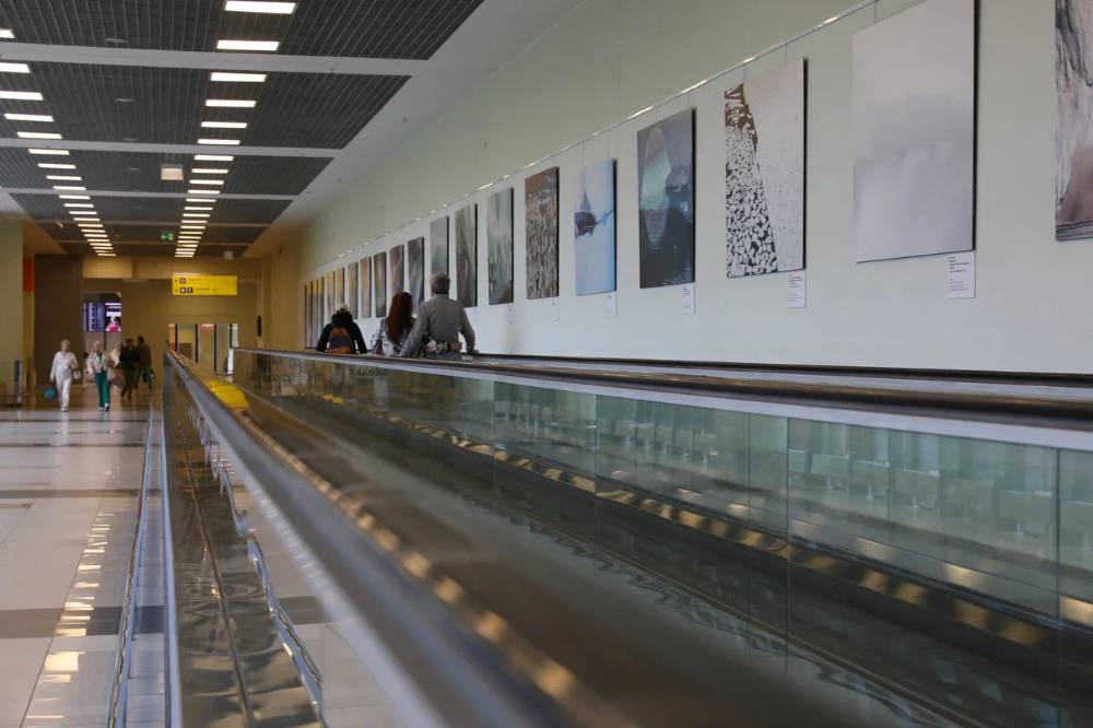 Аэропорты Домодедово и Жуковский временно закрыли из-за атак БПЛА