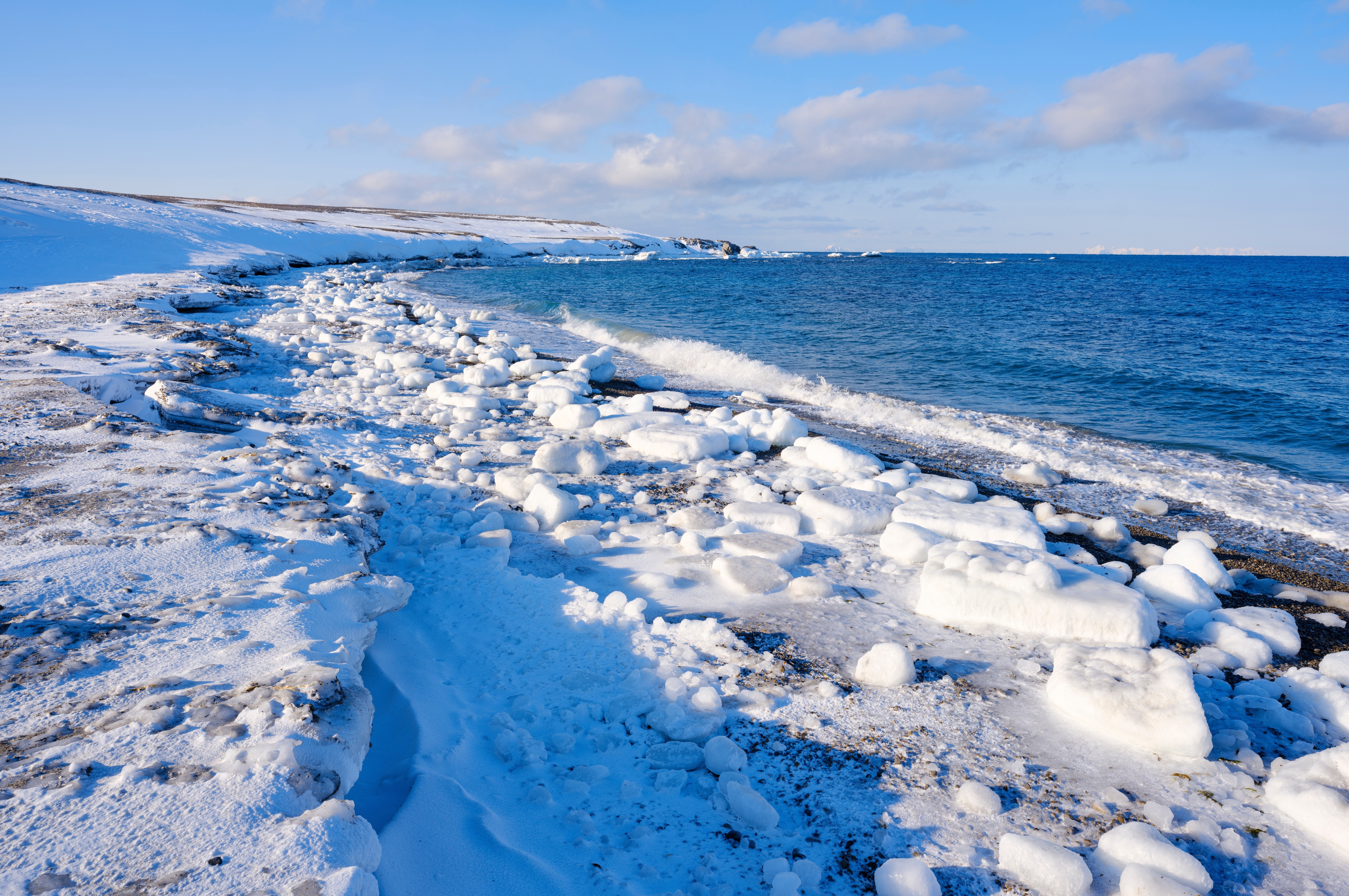 FT: Скандинавские дипломаты опровергли слова Трампа о российских кораблях у Гренландии