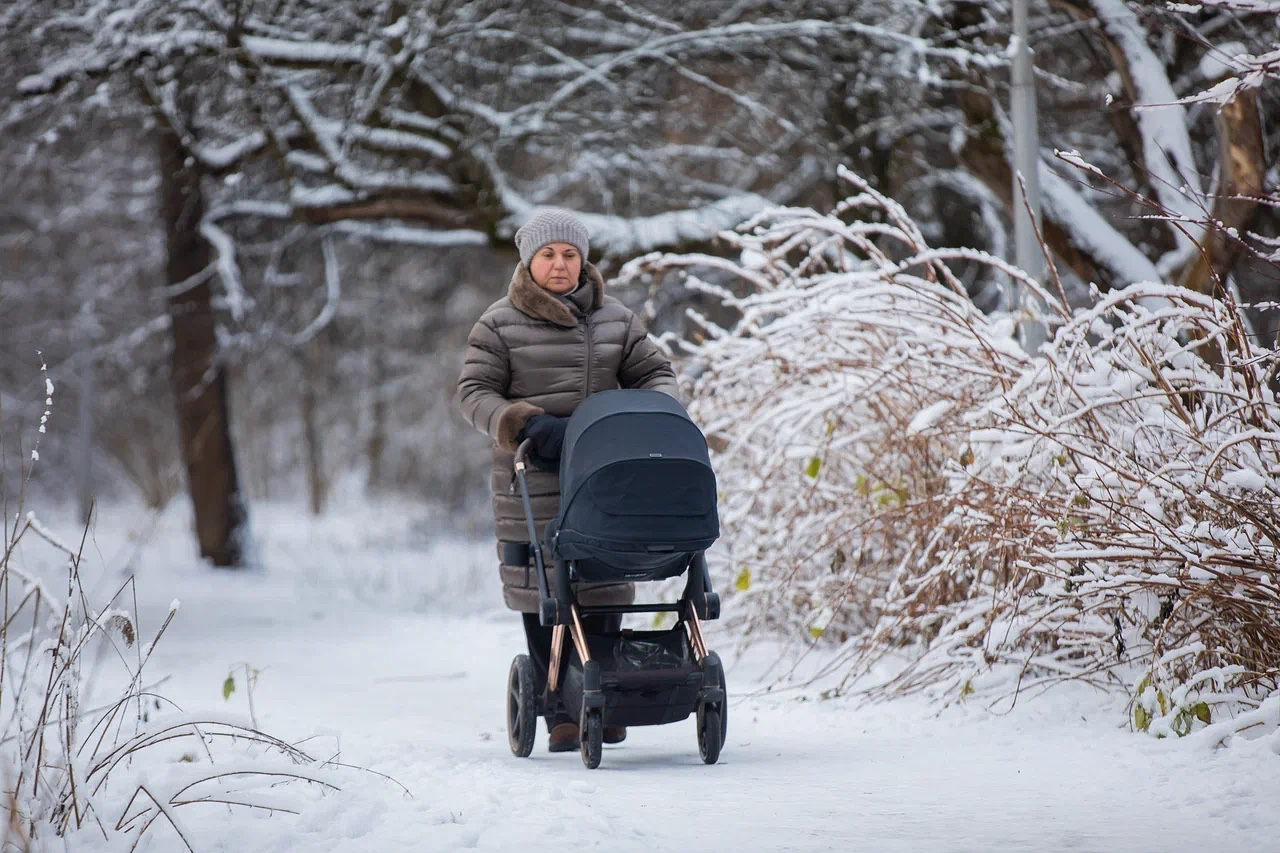 Москвичей предупредили о ледниковом периоде и морозах до -26 градусов на выходных