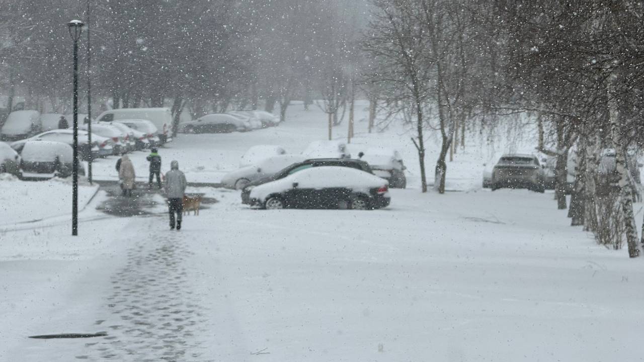 Метель, заносы и до -15&deg;C: Москва снова погрязнет в сугробах на этой неделе